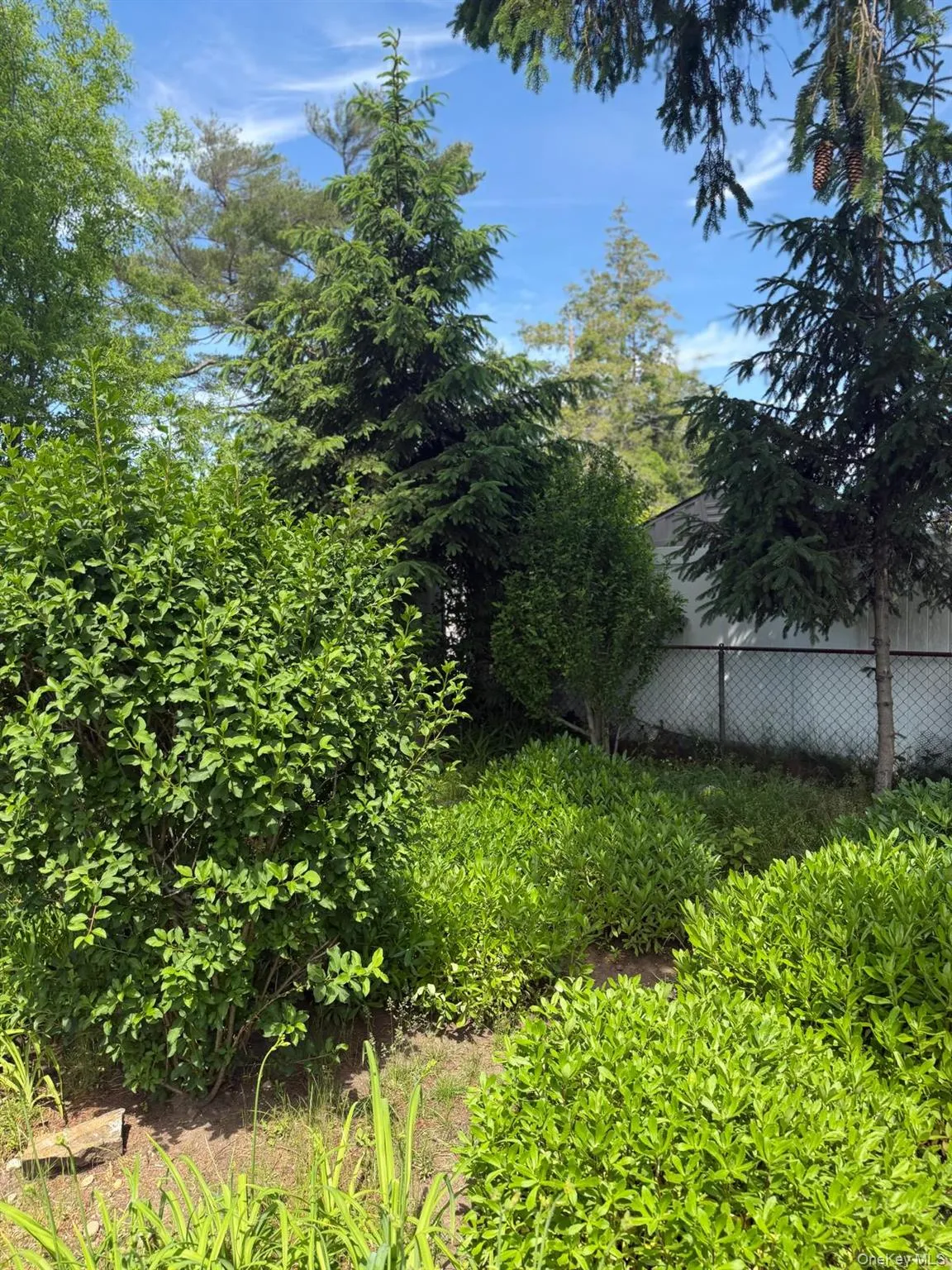 25 Surrey Lane, Oyster Bay, NY, 3 Bedrooms Bedrooms, 8 Rooms Rooms,1 BathroomBathrooms,Residential Lease,For Rent,Surrey,0,1020008 25 Surrey Lane, Oyster Bay, NY, 3 Bedrooms Bedrooms, 8 Rooms Rooms,1 BathroomBathrooms,Residential Lease,For Rent,Surrey,0,1020008