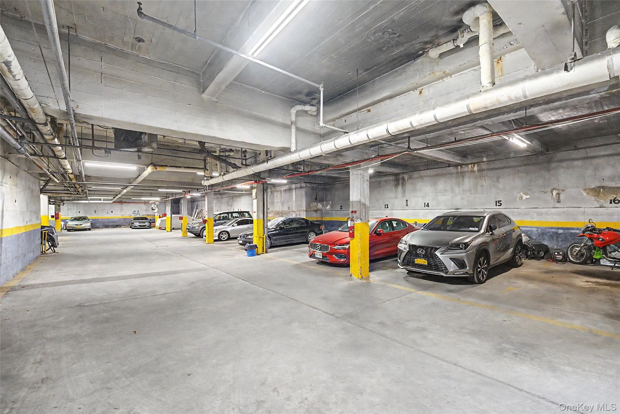 63-95 Austin Street, New York, NY, 1 Bedroom Bedrooms, 4 Rooms Rooms,1 BathroomBathrooms,Residential,For Rent,Austin,0,1020068 63-95 Austin Street, New York, NY, 1 Bedroom Bedrooms, 4 Rooms Rooms,1 BathroomBathrooms,Residential,For Rent,Austin,0,1020068