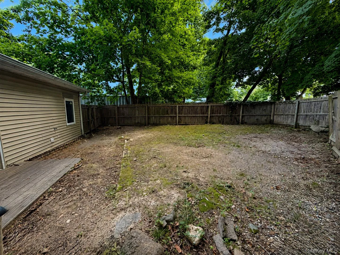 Backyard Backyard