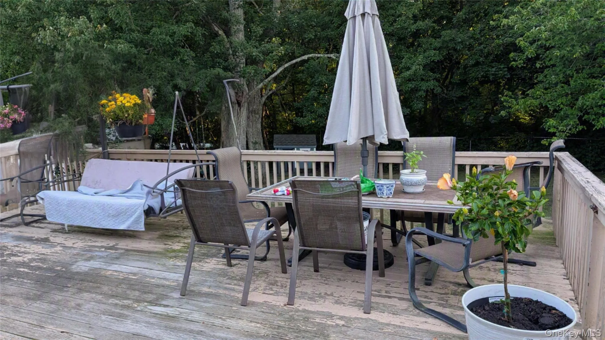 348 24th Street, Babylon, NY, 5 Bedrooms Bedrooms, 10 Rooms Rooms,1 BathroomBathrooms,Residential,For Rent,24th,0,1020106 348 24th Street, Babylon, NY, 5 Bedrooms Bedrooms, 10 Rooms Rooms,1 BathroomBathrooms,Residential,For Rent,24th,0,1020106