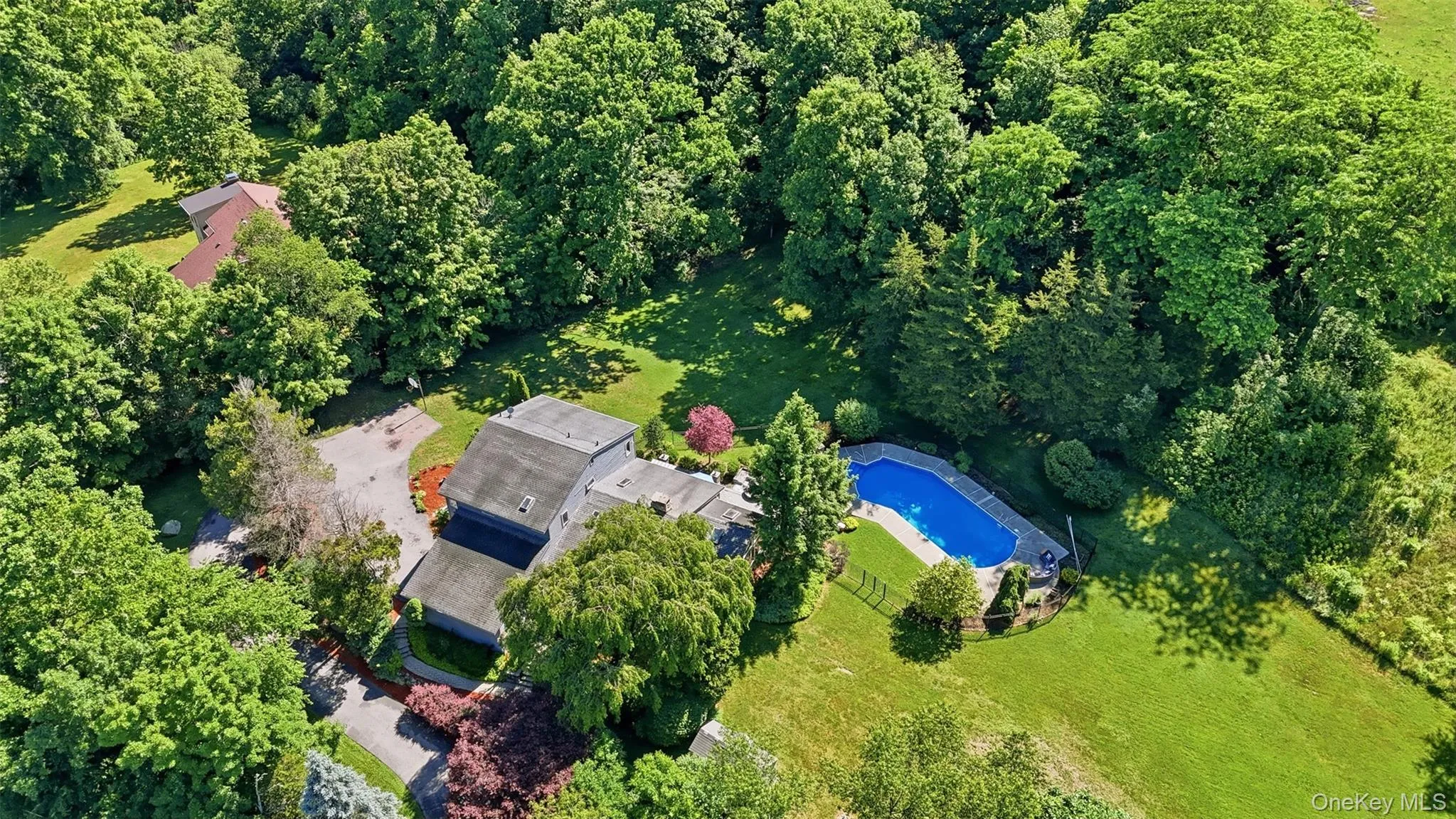 Expansive lot with mature trees, an in-ground pool with surrounding patio, and a dedicated driveway Expansive lot with mature trees, an in-ground pool with surrounding patio, and a dedicated driveway