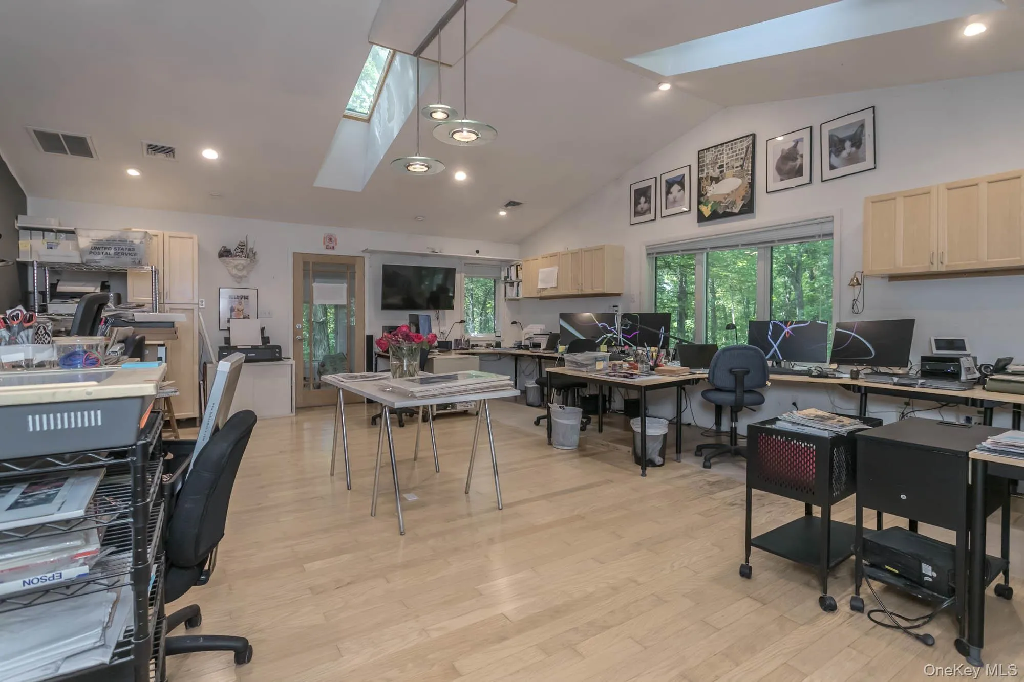 Vaulted ceilings and skylights Vaulted ceilings and skylights
