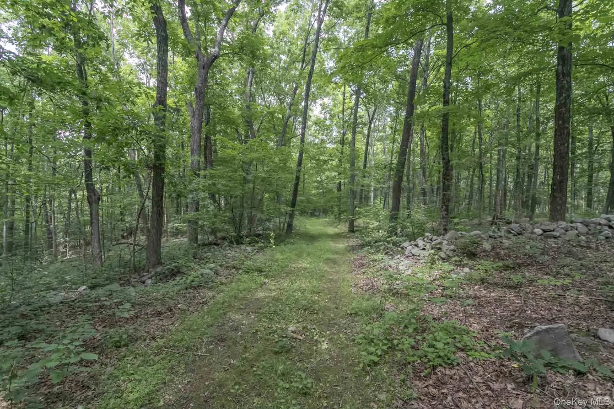 Privately owned trails on property Privately owned trails on property