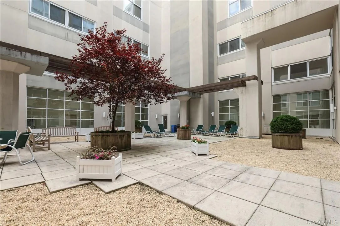 Courtyard where you can relax and read a book. Courtyard where you can relax and read a book.