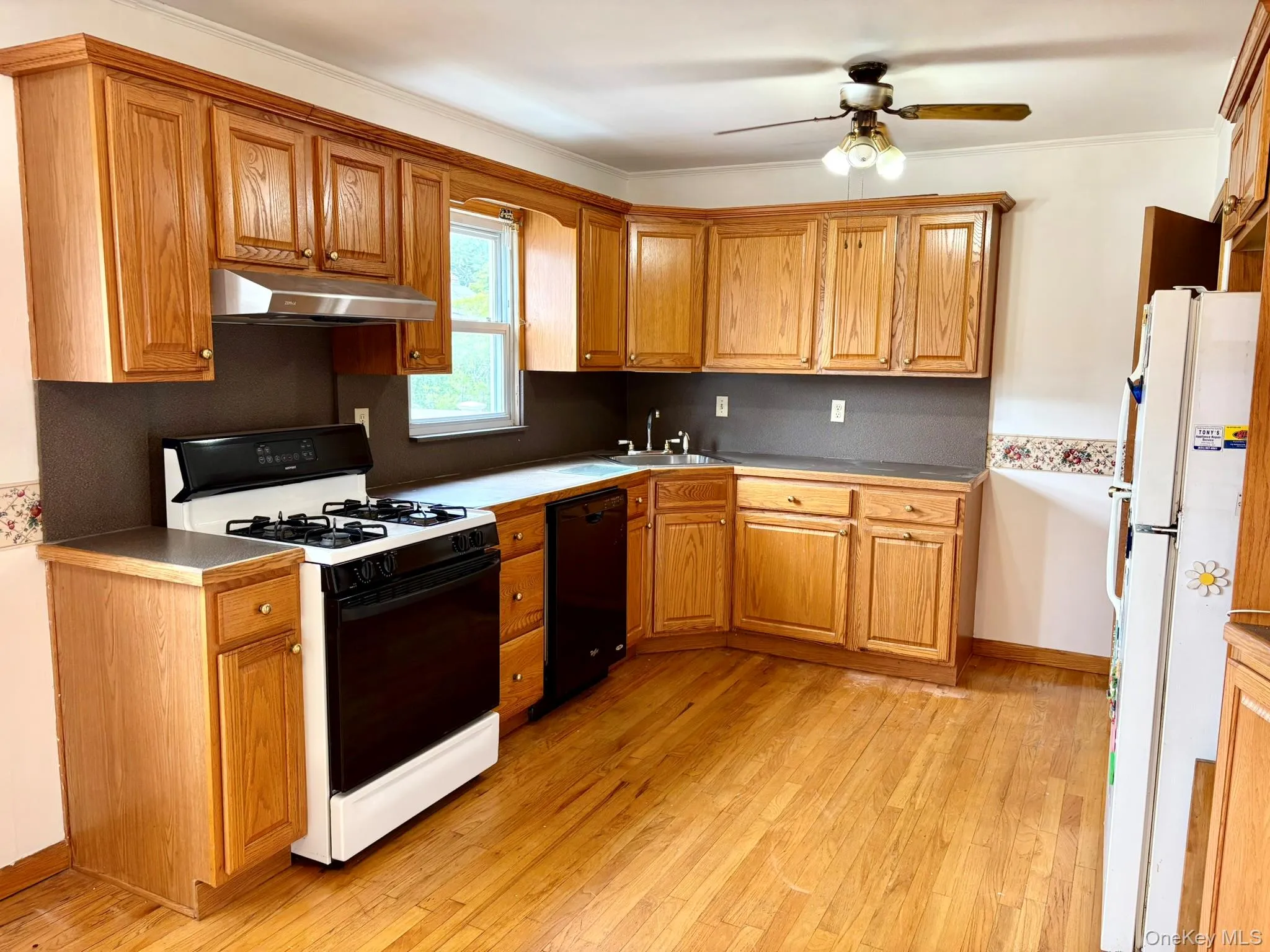 67 Maple Drive, Babylon, NY, 3 Bedrooms Bedrooms, 5 Rooms Rooms,1 BathroomBathrooms,Residential,For Rent,Maple,0,1020330 67 Maple Drive, Babylon, NY, 3 Bedrooms Bedrooms, 5 Rooms Rooms,1 BathroomBathrooms,Residential,For Rent,Maple,0,1020330