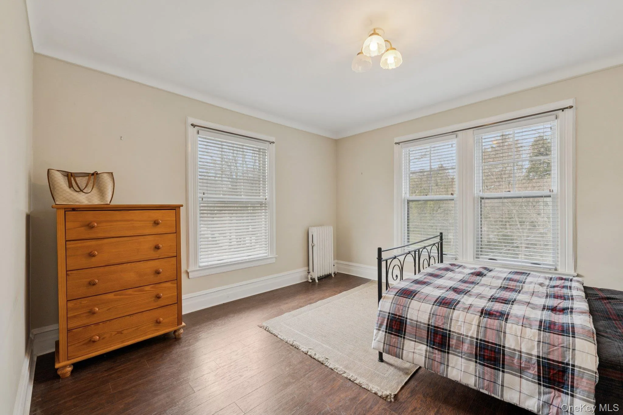 Bedroom featuring hardwood / wood-style flooring, radiator, multiple windows, and ornamental molding Bedroom featuring hardwood / wood-style flooring, radiator, multiple windows, and ornamental molding