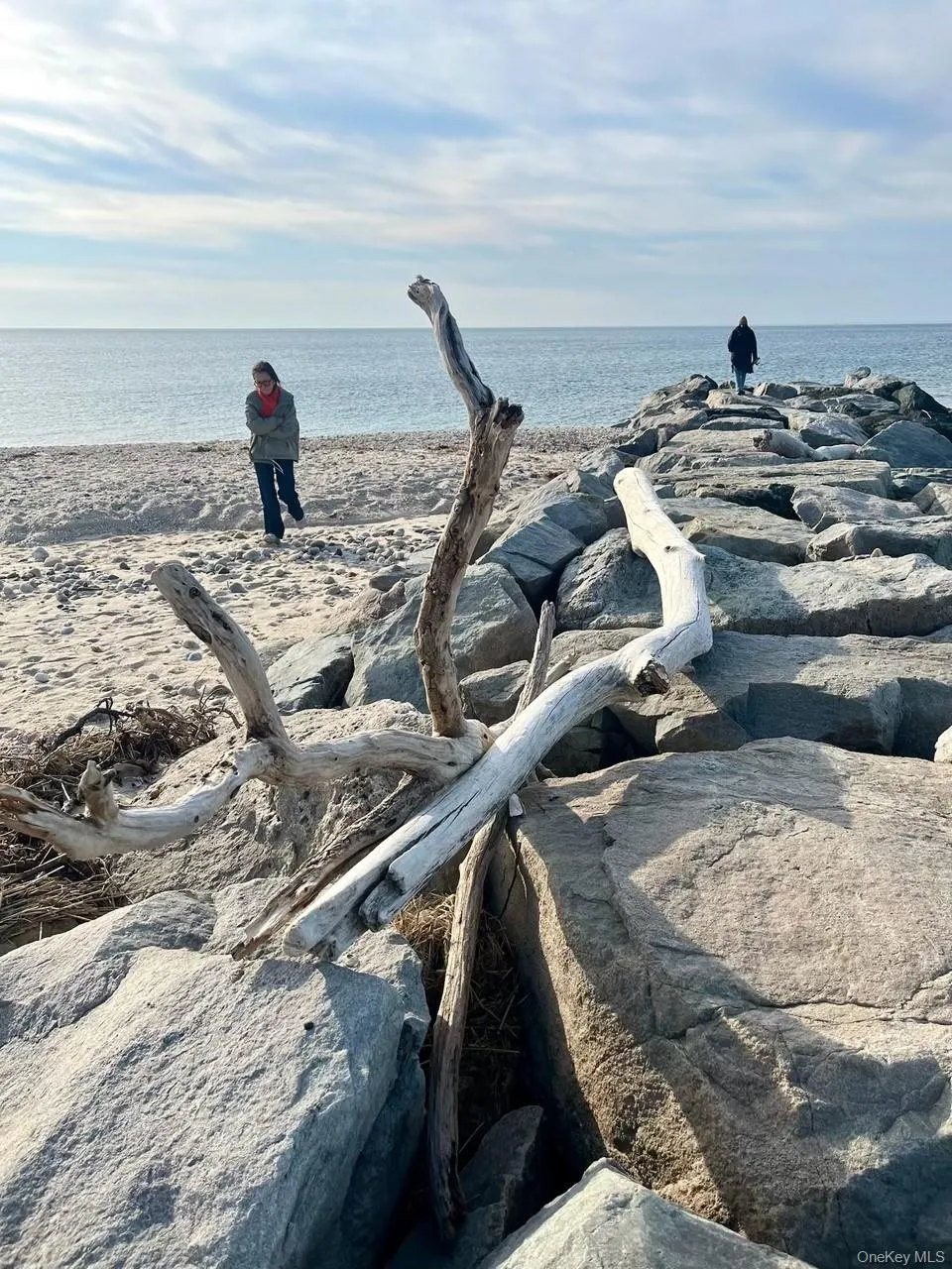 65 Lake Drive, Southold, NY, 4 Bedrooms Bedrooms, 6 Rooms Rooms,2 BathroomsBathrooms,Residential Lease,For Rent,Lake,0,1020406 65 Lake Drive, Southold, NY, 4 Bedrooms Bedrooms, 6 Rooms Rooms,2 BathroomsBathrooms,Residential Lease,For Rent,Lake,0,1020406