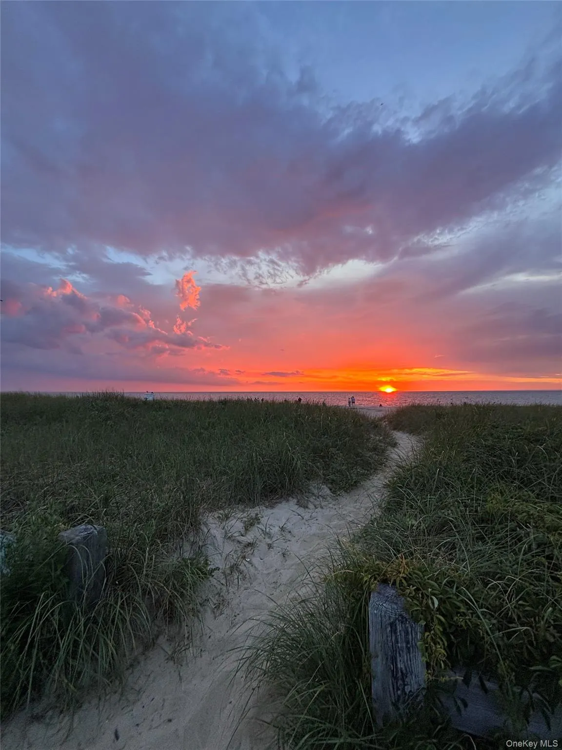 65 Lake Drive, Southold, NY, 4 Bedrooms Bedrooms, 6 Rooms Rooms,2 BathroomsBathrooms,Residential Lease,For Rent,Lake,0,1020406 65 Lake Drive, Southold, NY, 4 Bedrooms Bedrooms, 6 Rooms Rooms,2 BathroomsBathrooms,Residential Lease,For Rent,Lake,0,1020406