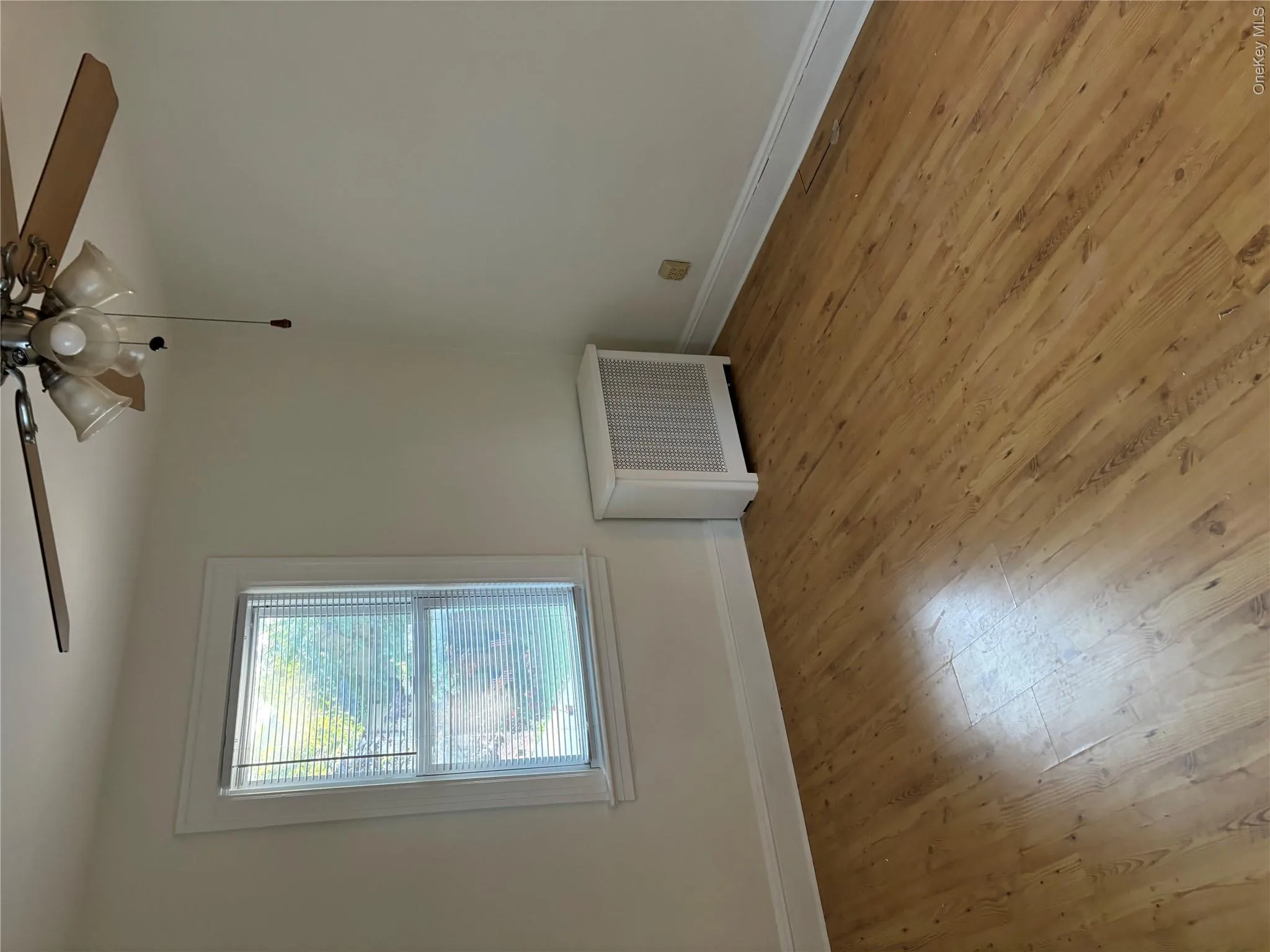 181 Violet Avenue, Hempstead, NY, 1 Bedroom Bedrooms, 4 Rooms Rooms,1 BathroomBathrooms,Residential Lease,For Rent,Violet,0,1020412 181 Violet Avenue, Hempstead, NY, 1 Bedroom Bedrooms, 4 Rooms Rooms,1 BathroomBathrooms,Residential Lease,For Rent,Violet,0,1020412