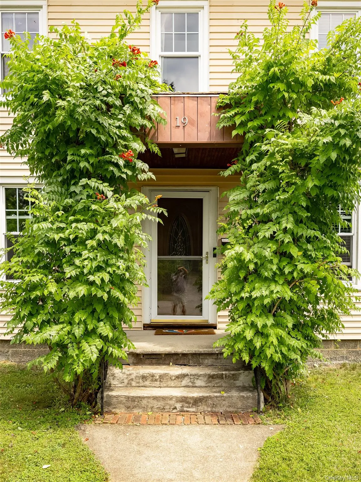 19 Lincoln Avenue, Beacon, NY, 3 Bedrooms Bedrooms, 9 Rooms Rooms,1 BathroomBathrooms,Residential,For Rent,Lincoln,0,1020454 19 Lincoln Avenue, Beacon, NY, 3 Bedrooms Bedrooms, 9 Rooms Rooms,1 BathroomBathrooms,Residential,For Rent,Lincoln,0,1020454