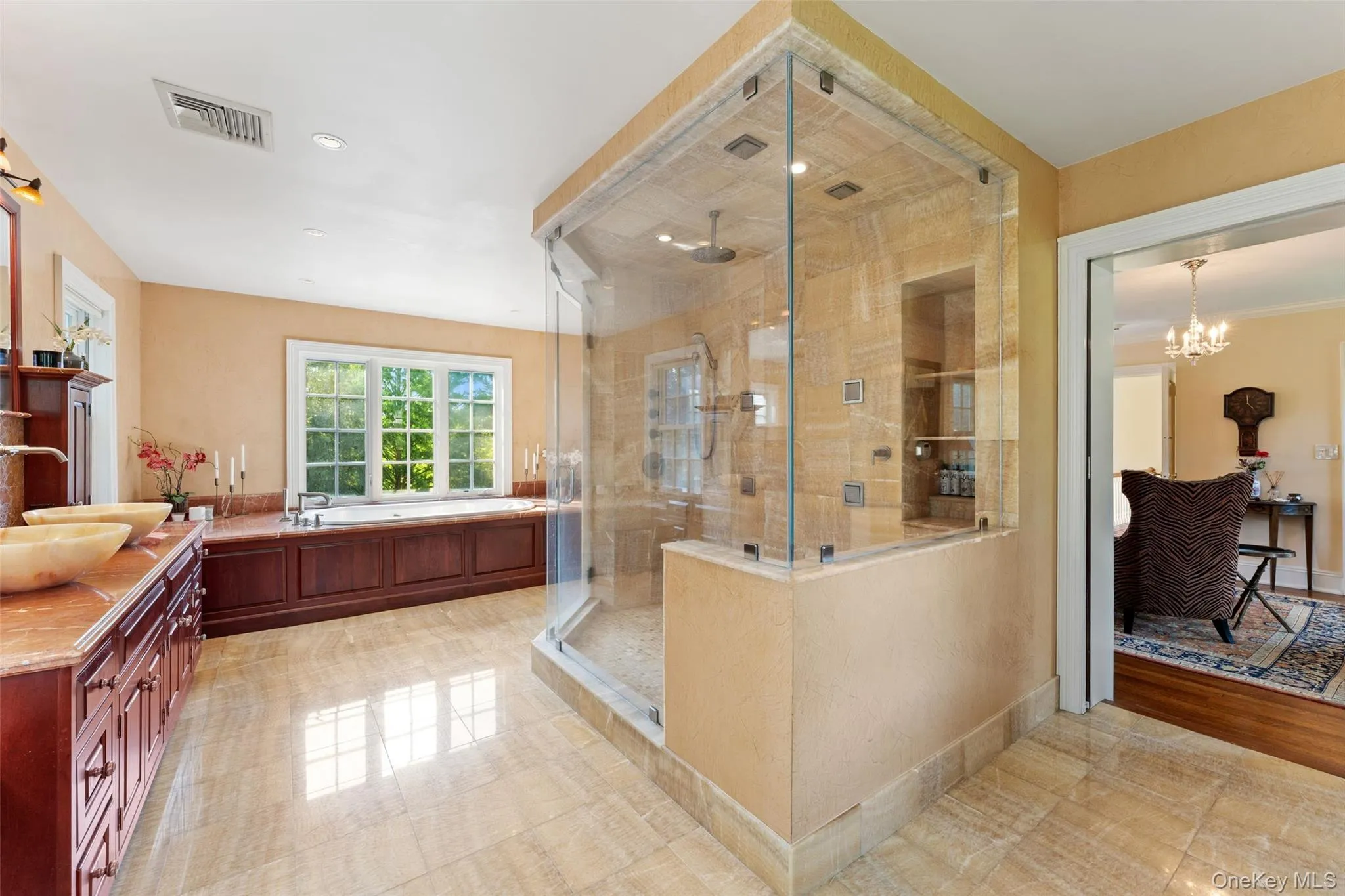View of primary bathroom with huge shower and soaking jacuzzi tub View of primary bathroom with huge shower and soaking jacuzzi tub
