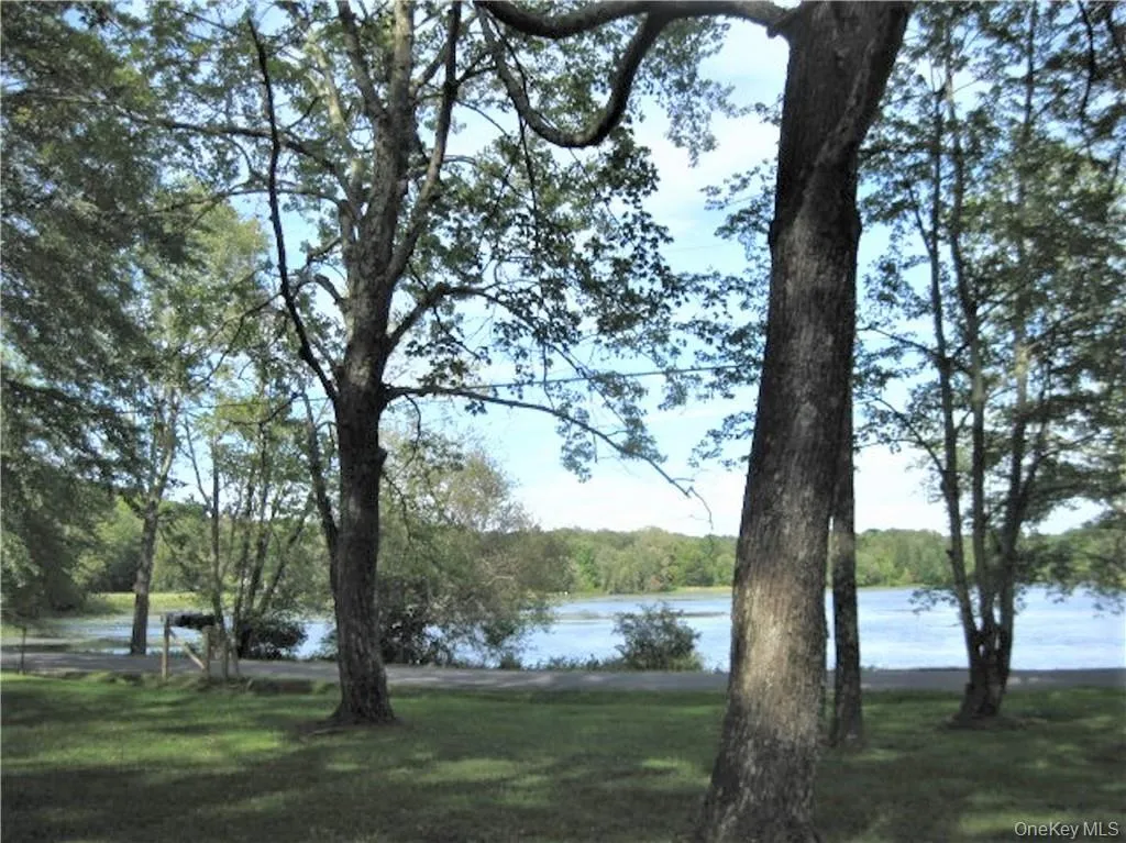525 Lake Road, Pine Plains, NY, 1 Bedroom Bedrooms, 4 Rooms Rooms,1 BathroomBathrooms,Residential Lease,For Rent,Lake,0,1020518 525 Lake Road, Pine Plains, NY, 1 Bedroom Bedrooms, 4 Rooms Rooms,1 BathroomBathrooms,Residential Lease,For Rent,Lake,0,1020518