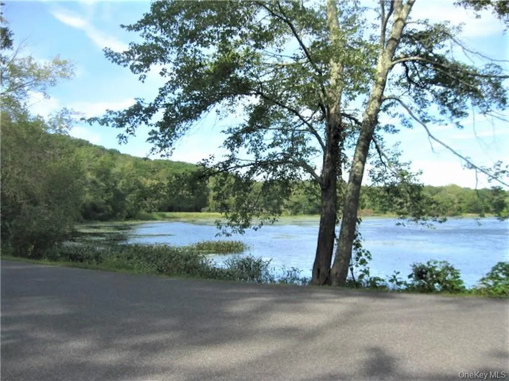 525 Lake Road, Pine Plains, NY, 1 Bedroom Bedrooms, 4 Rooms Rooms,1 BathroomBathrooms,Residential Lease,For Rent,Lake,0,1020518 525 Lake Road, Pine Plains, NY, 1 Bedroom Bedrooms, 4 Rooms Rooms,1 BathroomBathrooms,Residential Lease,For Rent,Lake,0,1020518