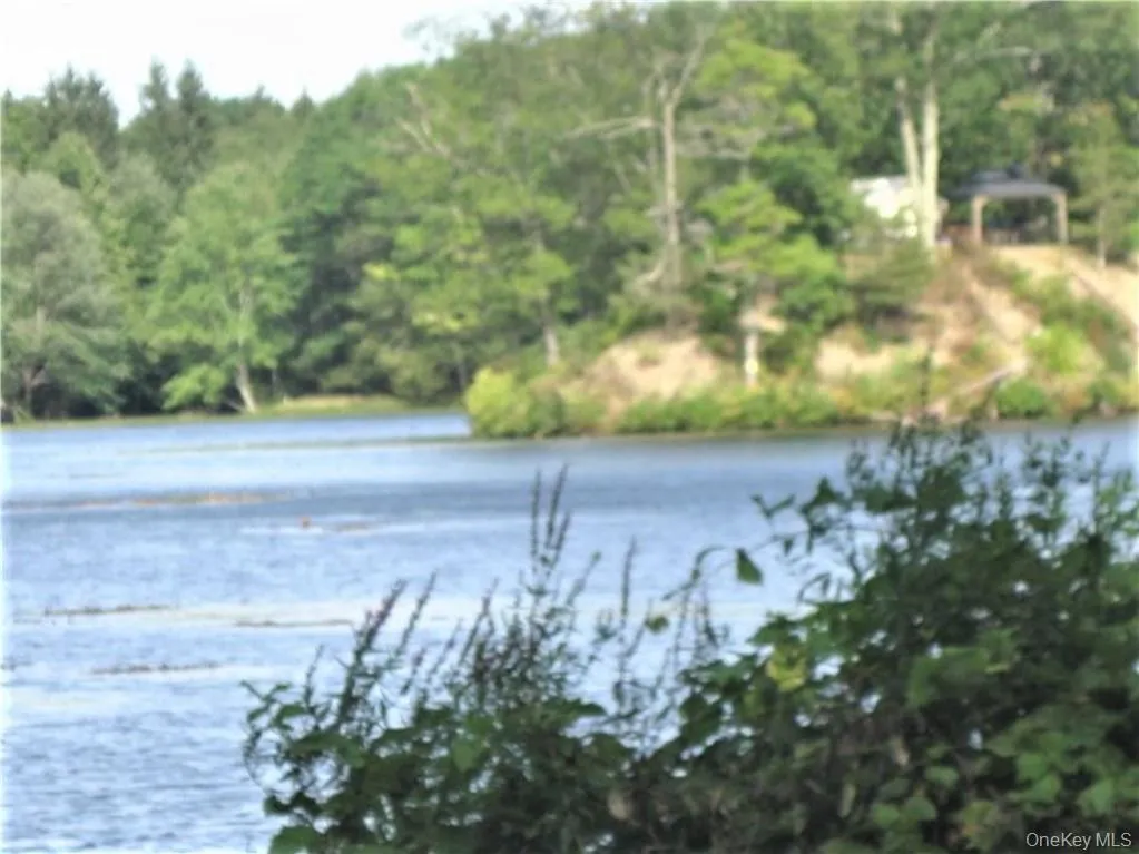 525 Lake Road, Pine Plains, NY, 1 Bedroom Bedrooms, 4 Rooms Rooms,1 BathroomBathrooms,Residential Lease,For Rent,Lake,0,1020518 525 Lake Road, Pine Plains, NY, 1 Bedroom Bedrooms, 4 Rooms Rooms,1 BathroomBathrooms,Residential Lease,For Rent,Lake,0,1020518