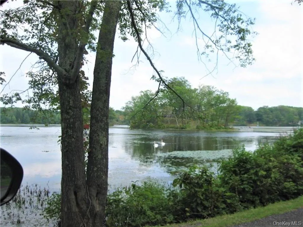 525 Lake Road, Pine Plains, NY, 1 Bedroom Bedrooms, 4 Rooms Rooms,1 BathroomBathrooms,Residential Lease,For Rent,Lake,0,1020518 525 Lake Road, Pine Plains, NY, 1 Bedroom Bedrooms, 4 Rooms Rooms,1 BathroomBathrooms,Residential Lease,For Rent,Lake,0,1020518