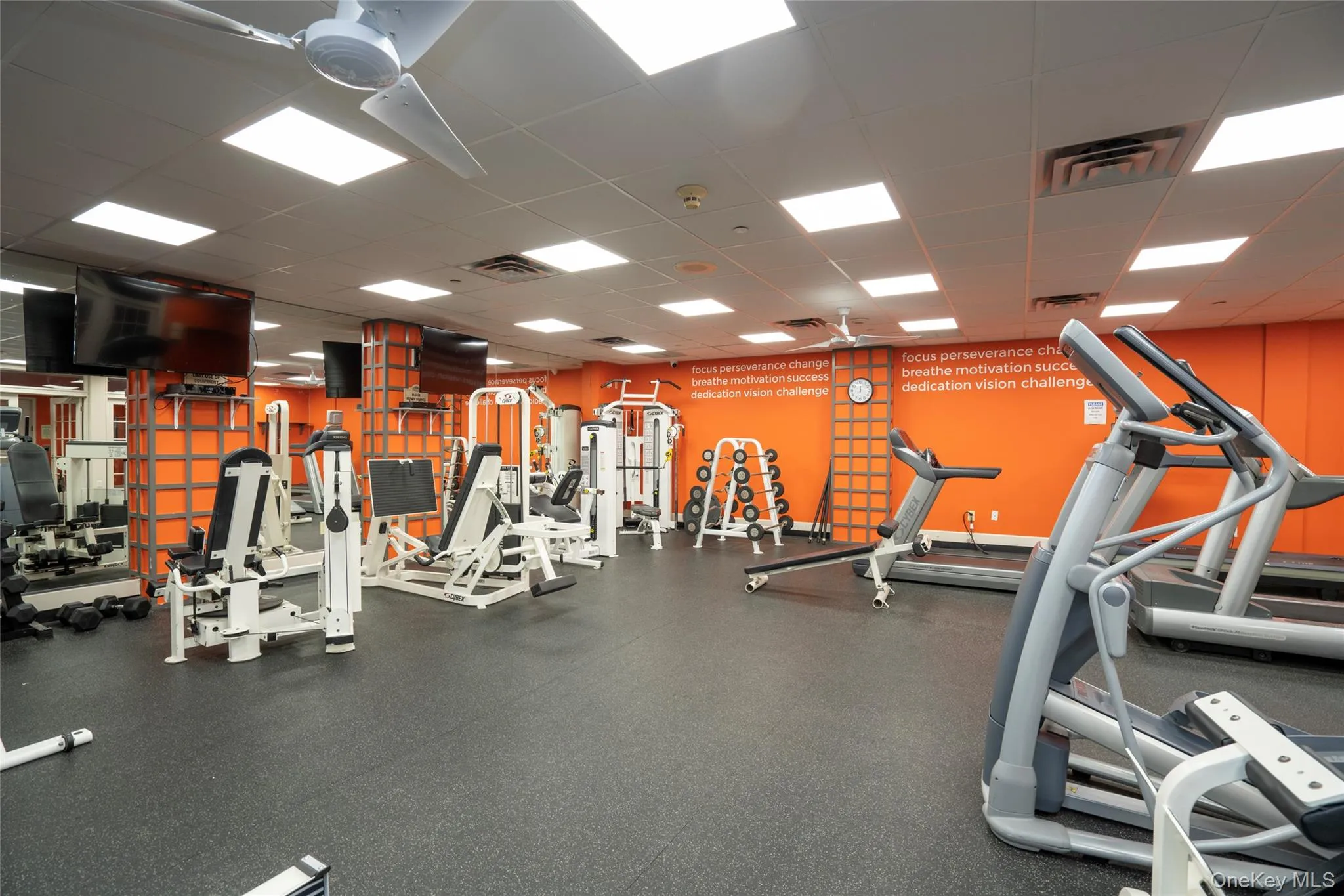 Clubhouse Gym Clubhouse Gym