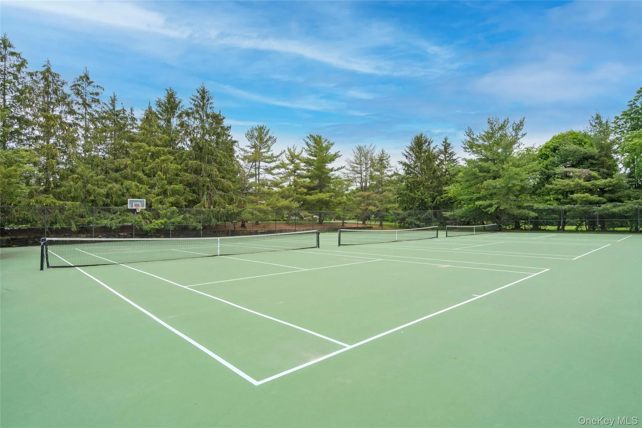 Tennis Tennis