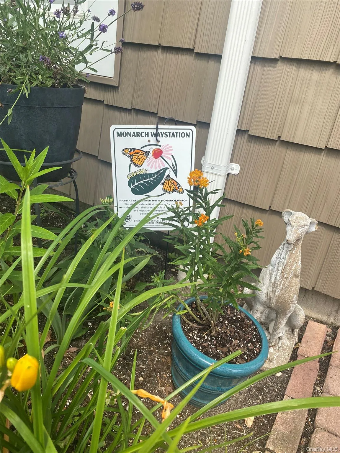 107 Whalers Cove, Babylon, NY, 2 Bedrooms Bedrooms, 5 Rooms Rooms,1 BathroomBathrooms,Residential,For Rent,Whalers,0,1020593 107 Whalers Cove, Babylon, NY, 2 Bedrooms Bedrooms, 5 Rooms Rooms,1 BathroomBathrooms,Residential,For Rent,Whalers,0,1020593