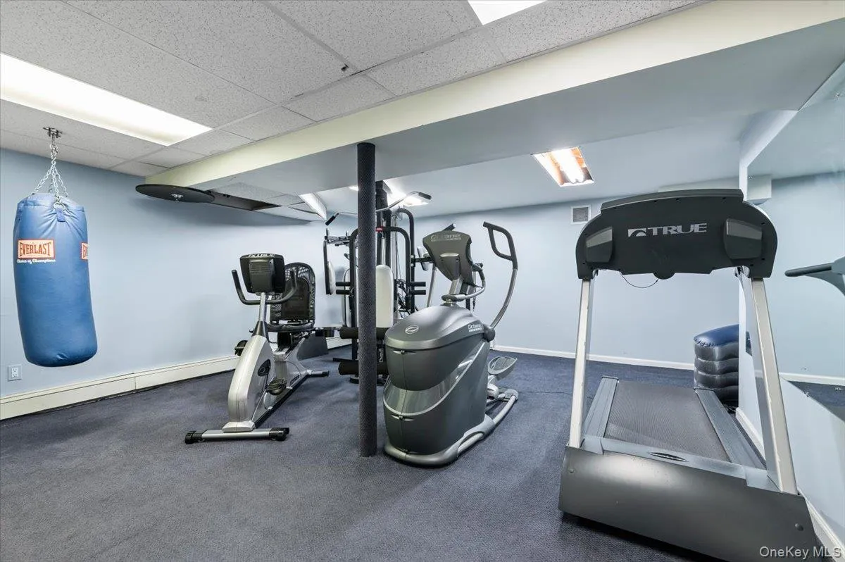 96 Plainview Road, Oyster Bay, NY, 6 Bedrooms Bedrooms, 17 Rooms Rooms,5 BathroomsBathrooms,Residential,For Rent,Plainview,0,1020613 96 Plainview Road, Oyster Bay, NY, 6 Bedrooms Bedrooms, 17 Rooms Rooms,5 BathroomsBathrooms,Residential,For Rent,Plainview,0,1020613