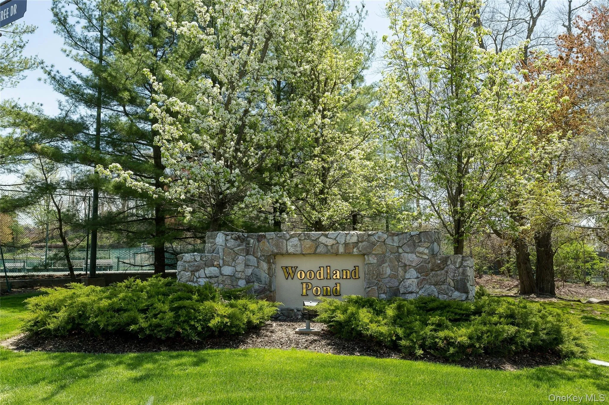 104 Woodlake Drive, Oyster Bay, NY, 3 Bedrooms Bedrooms, 7 Rooms Rooms,2 BathroomsBathrooms,Residential,For Rent,Woodlake,0,1020633 104 Woodlake Drive, Oyster Bay, NY, 3 Bedrooms Bedrooms, 7 Rooms Rooms,2 BathroomsBathrooms,Residential,For Rent,Woodlake,0,1020633