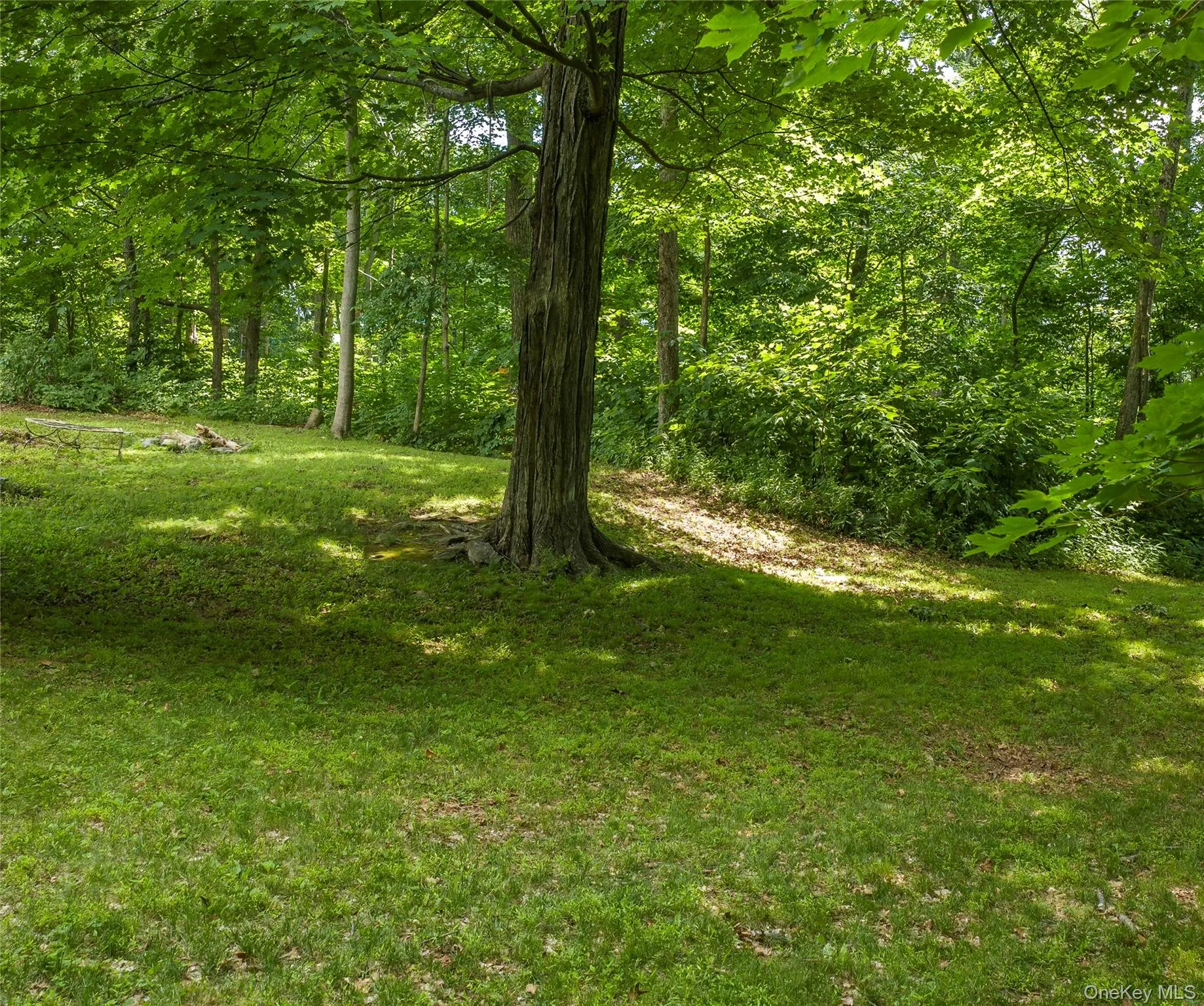 28 Birch Terrace, Dover, NY, 2 Bedrooms Bedrooms, 5 Rooms Rooms,1 BathroomBathrooms,Residential,For Rent,Birch,0,1020651 28 Birch Terrace, Dover, NY, 2 Bedrooms Bedrooms, 5 Rooms Rooms,1 BathroomBathrooms,Residential,For Rent,Birch,0,1020651