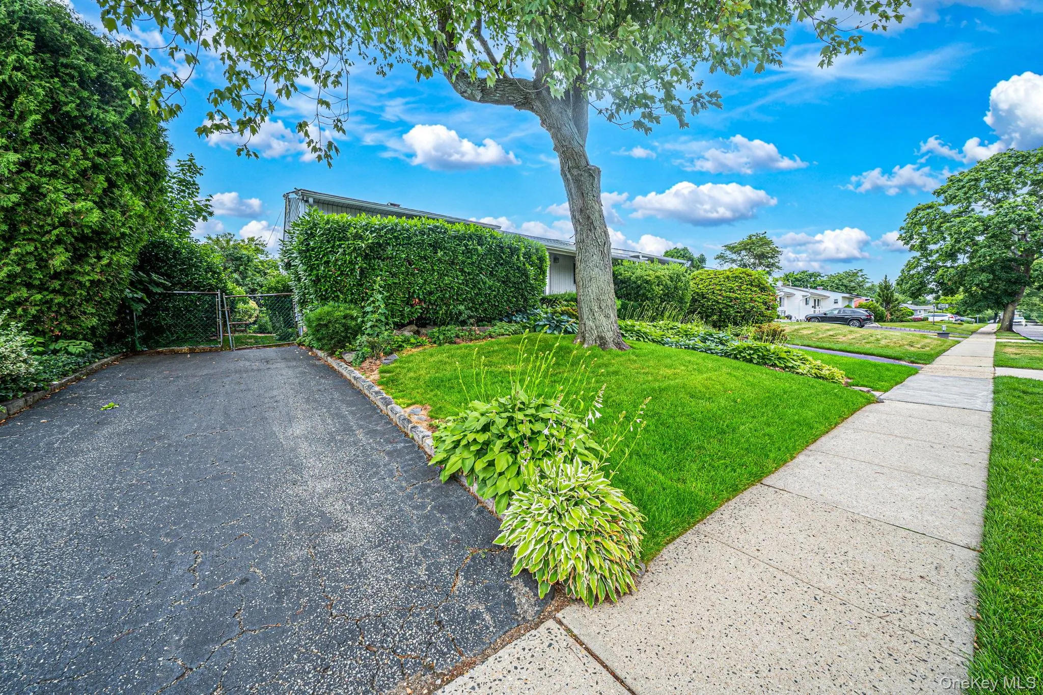 18 Edi Avenue, Oyster Bay, NY, 3 Bedrooms Bedrooms, 7 Rooms Rooms,2 BathroomsBathrooms,Residential,For Rent,Edi,0,1020656 18 Edi Avenue, Oyster Bay, NY, 3 Bedrooms Bedrooms, 7 Rooms Rooms,2 BathroomsBathrooms,Residential,For Rent,Edi,0,1020656