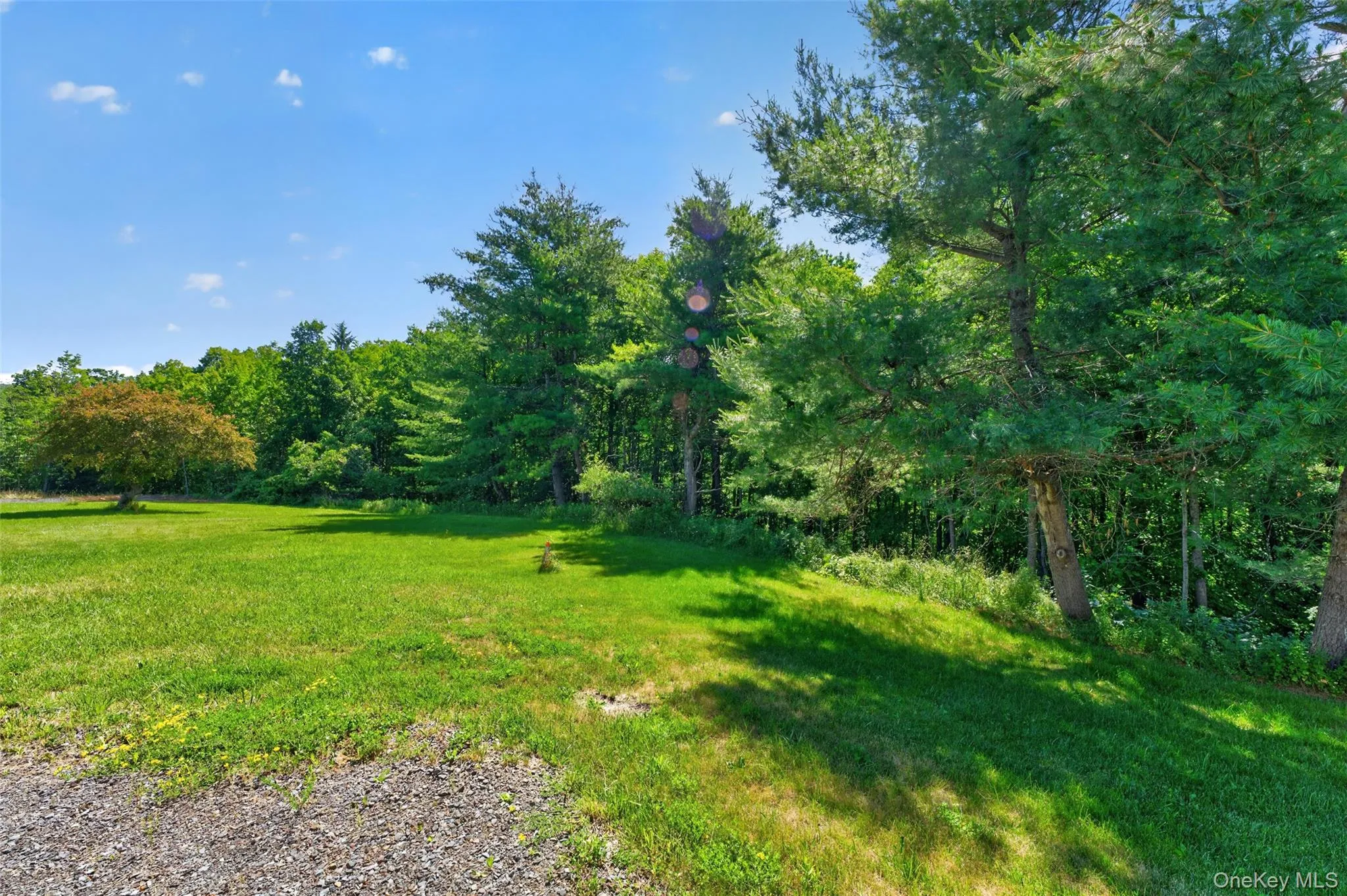 119 County Route 354, Rensselaerville, NY, 3 Bedrooms Bedrooms, 6 Rooms Rooms,2 BathroomsBathrooms,Residential,For Rent,County Route 354,0,1020737 119 County Route 354, Rensselaerville, NY, 3 Bedrooms Bedrooms, 6 Rooms Rooms,2 BathroomsBathrooms,Residential,For Rent,County Route 354,0,1020737