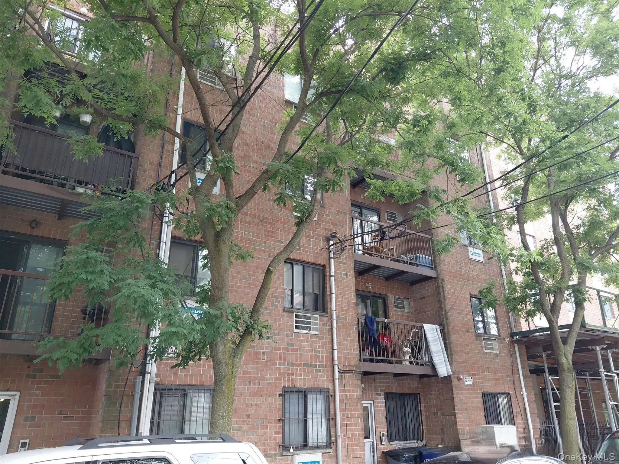 724 221st Street, New York, NY, 1 Bedroom Bedrooms, 3 Rooms Rooms,1 BathroomBathrooms,Residential,For Rent,221st,0,1020738 724 221st Street, New York, NY, 1 Bedroom Bedrooms, 3 Rooms Rooms,1 BathroomBathrooms,Residential,For Rent,221st,0,1020738