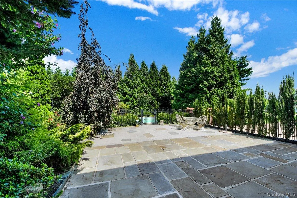 Spacious tree-lined patio Spacious tree-lined patio