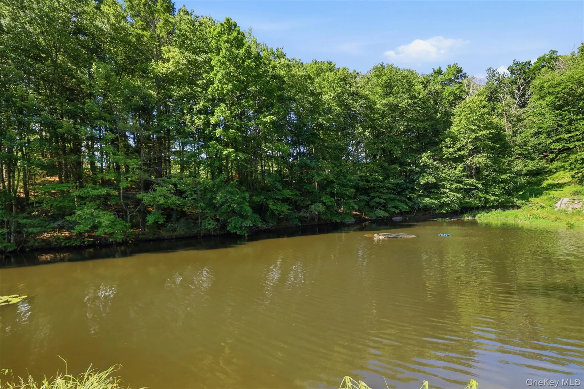 16 Buena Vista Point, Lumberland, NY, 5 Bedrooms Bedrooms, 9 Rooms Rooms,3 BathroomsBathrooms,Residential,For Rent,Buena Vista,0,1020749 16 Buena Vista Point, Lumberland, NY, 5 Bedrooms Bedrooms, 9 Rooms Rooms,3 BathroomsBathrooms,Residential,For Rent,Buena Vista,0,1020749