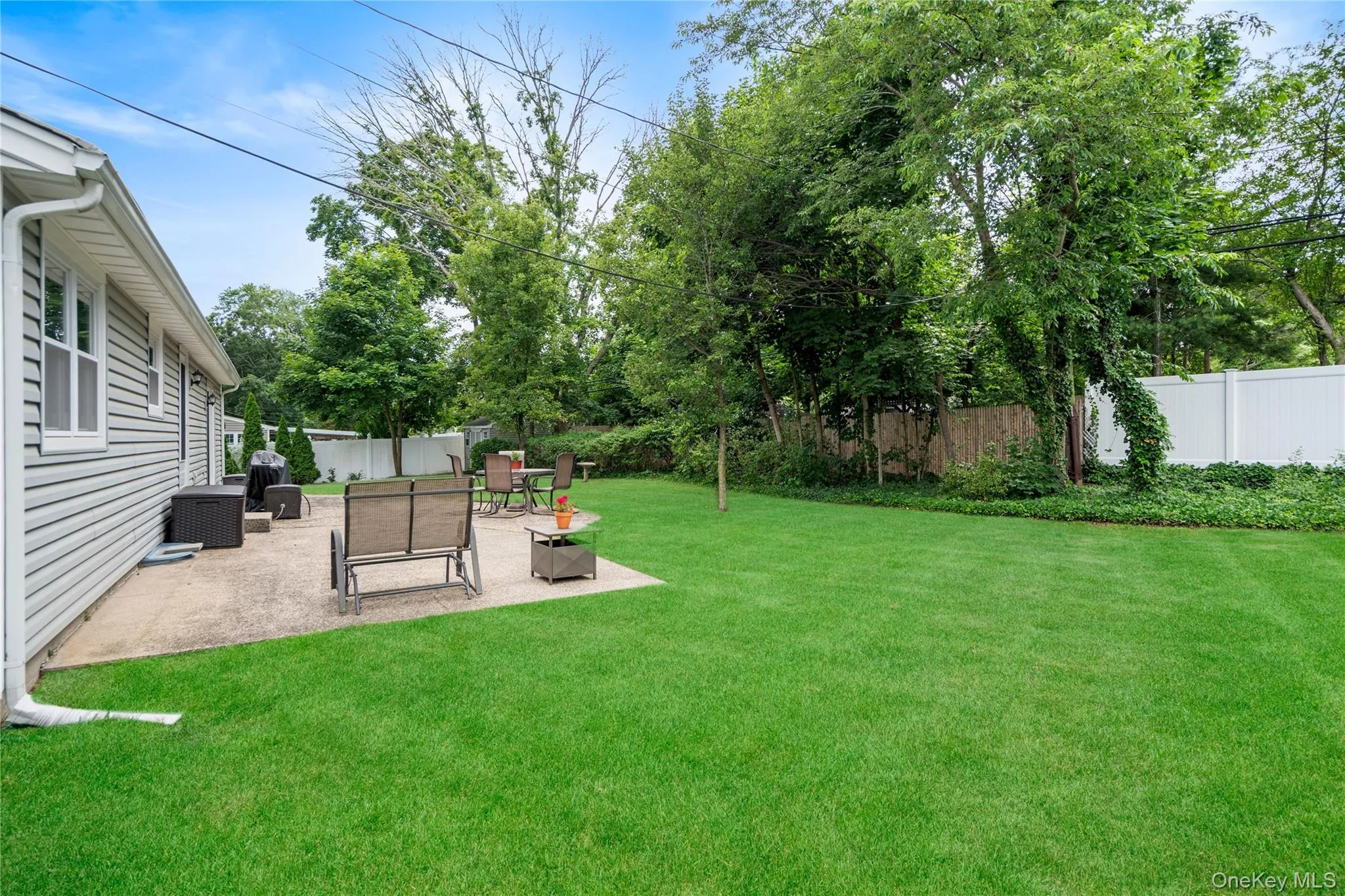 Expansive green lawn with mature trees and a privacy fence Expansive green lawn with mature trees and a privacy fence