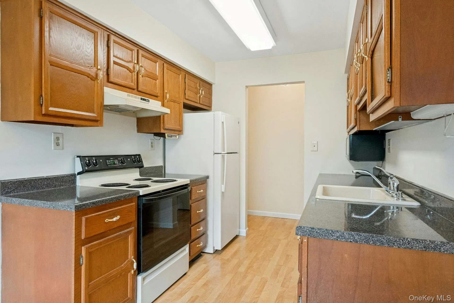 Galley Kitchen with Plenty of Cabinets and Counter Space .. Entry Foyer in the Background. Galley Kitchen with Plenty of Cabinets and Counter Space .. Entry Foyer in the Background.