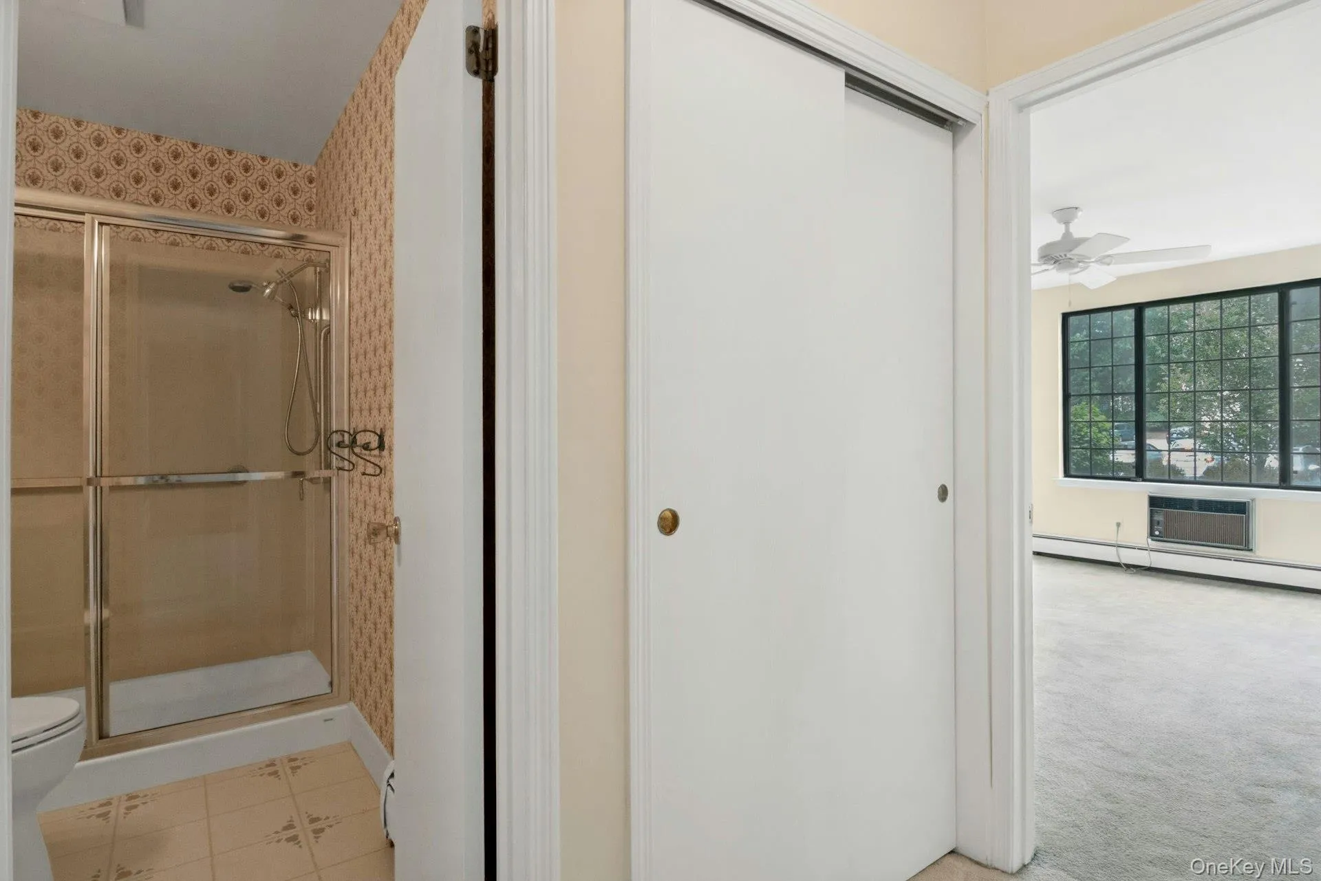 Bathroom, Hall Closet and Bedroom Entry. Bathroom, Hall Closet and Bedroom Entry.