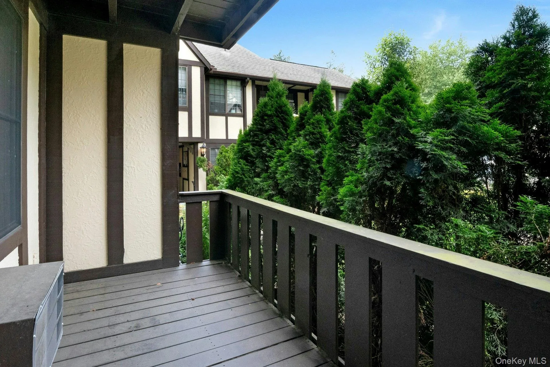Row of Courtyard Pines and Privacy. Row of Courtyard Pines and Privacy.