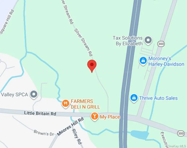 Silver Stream Road, New Windsor, NY, ,Land,For Rent,Silver Stream,0,1020788 Silver Stream Road, New Windsor, NY, ,Land,For Rent,Silver Stream,0,1020788