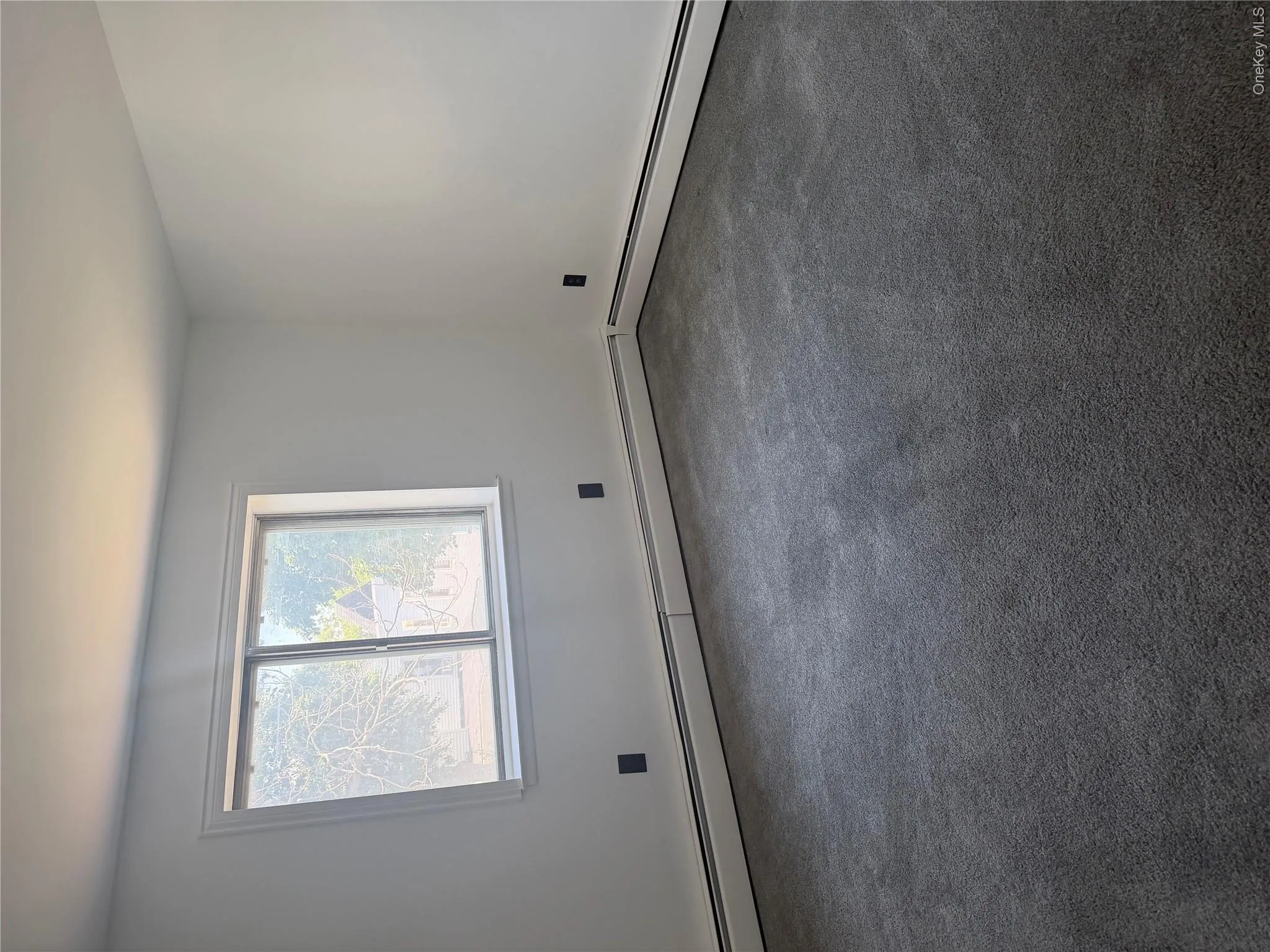 3942 Monticello Avenue, New York, NY, 3 Bedrooms Bedrooms, 6 Rooms Rooms,1 BathroomBathrooms,Residential Lease,For Rent,Monticello,0,1020847 3942 Monticello Avenue, New York, NY, 3 Bedrooms Bedrooms, 6 Rooms Rooms,1 BathroomBathrooms,Residential Lease,For Rent,Monticello,0,1020847