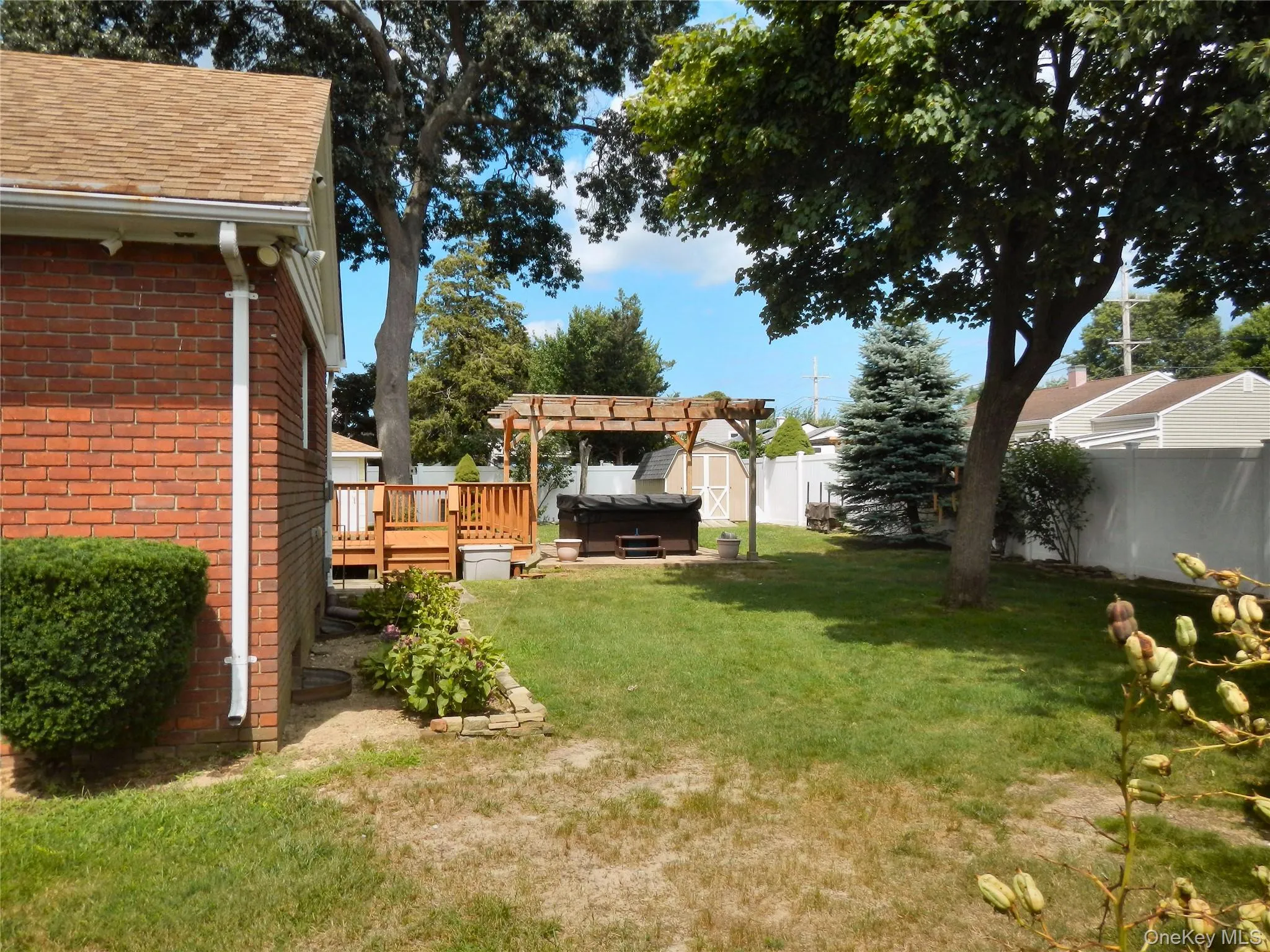 Back yard Back yard