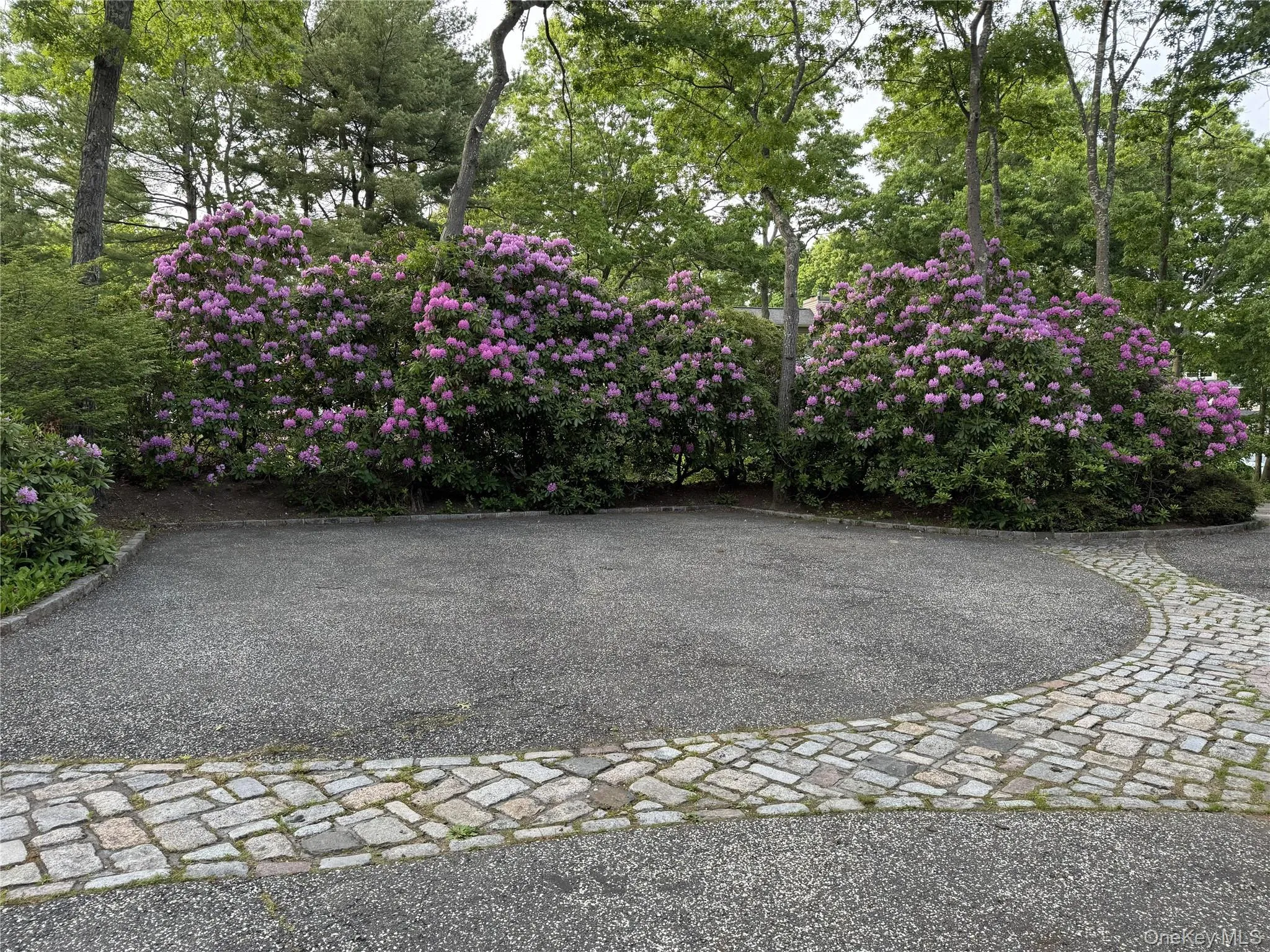 18 Nicole Court, Brookhaven, NY, 3 Bedrooms Bedrooms, 7 Rooms Rooms,2 BathroomsBathrooms,Residential,For Rent,Nicole,0,1020918 18 Nicole Court, Brookhaven, NY, 3 Bedrooms Bedrooms, 7 Rooms Rooms,2 BathroomsBathrooms,Residential,For Rent,Nicole,0,1020918