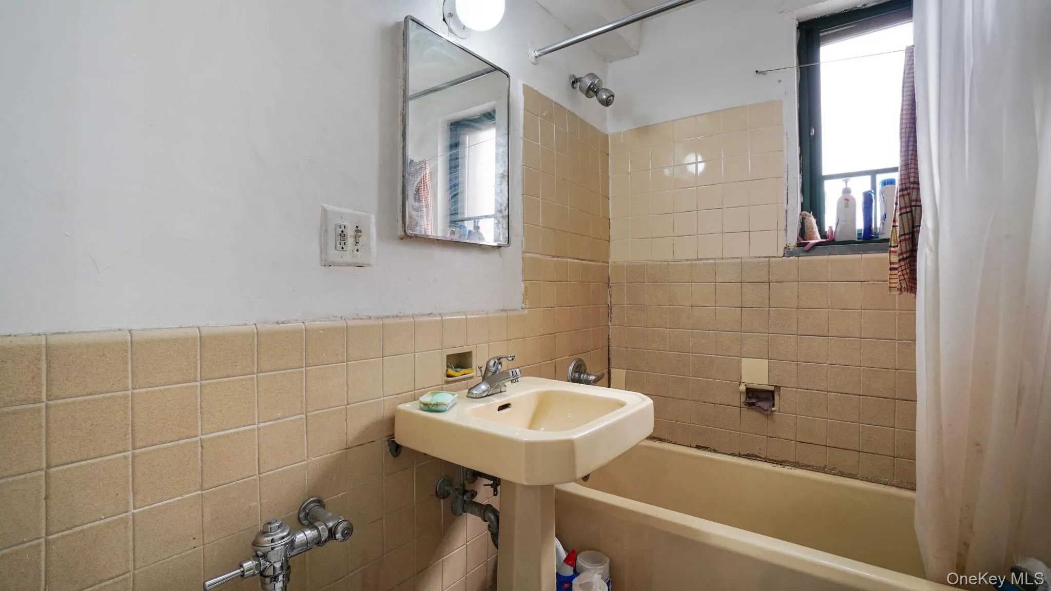 2049 Mc Graw Avenue, New York, NY, 1 Bedroom Bedrooms, 4 Rooms Rooms,1 BathroomBathrooms,Residential,For Rent,Mc Graw,0,1020933 2049 Mc Graw Avenue, New York, NY, 1 Bedroom Bedrooms, 4 Rooms Rooms,1 BathroomBathrooms,Residential,For Rent,Mc Graw,0,1020933