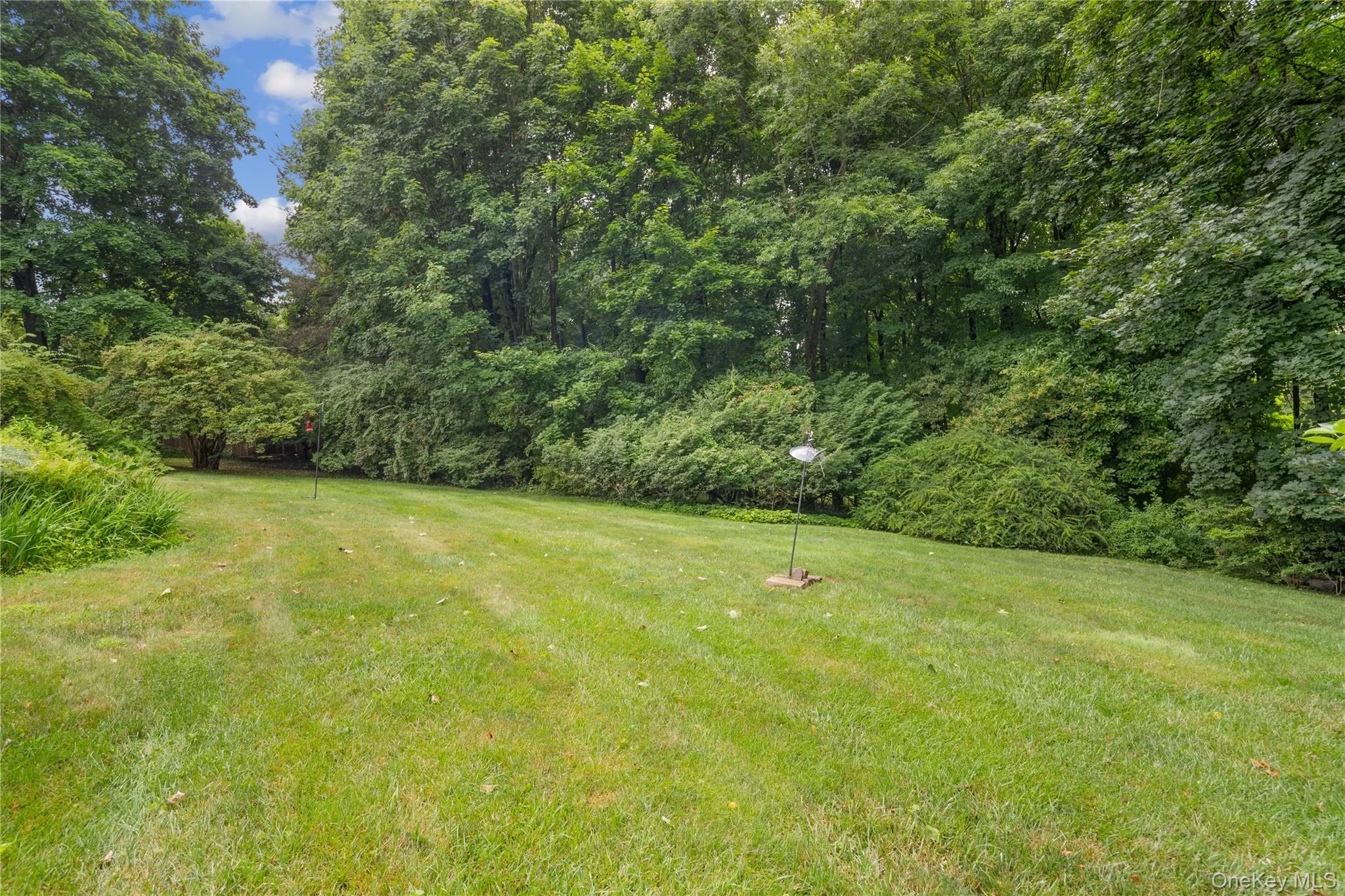 Backyard Backyard