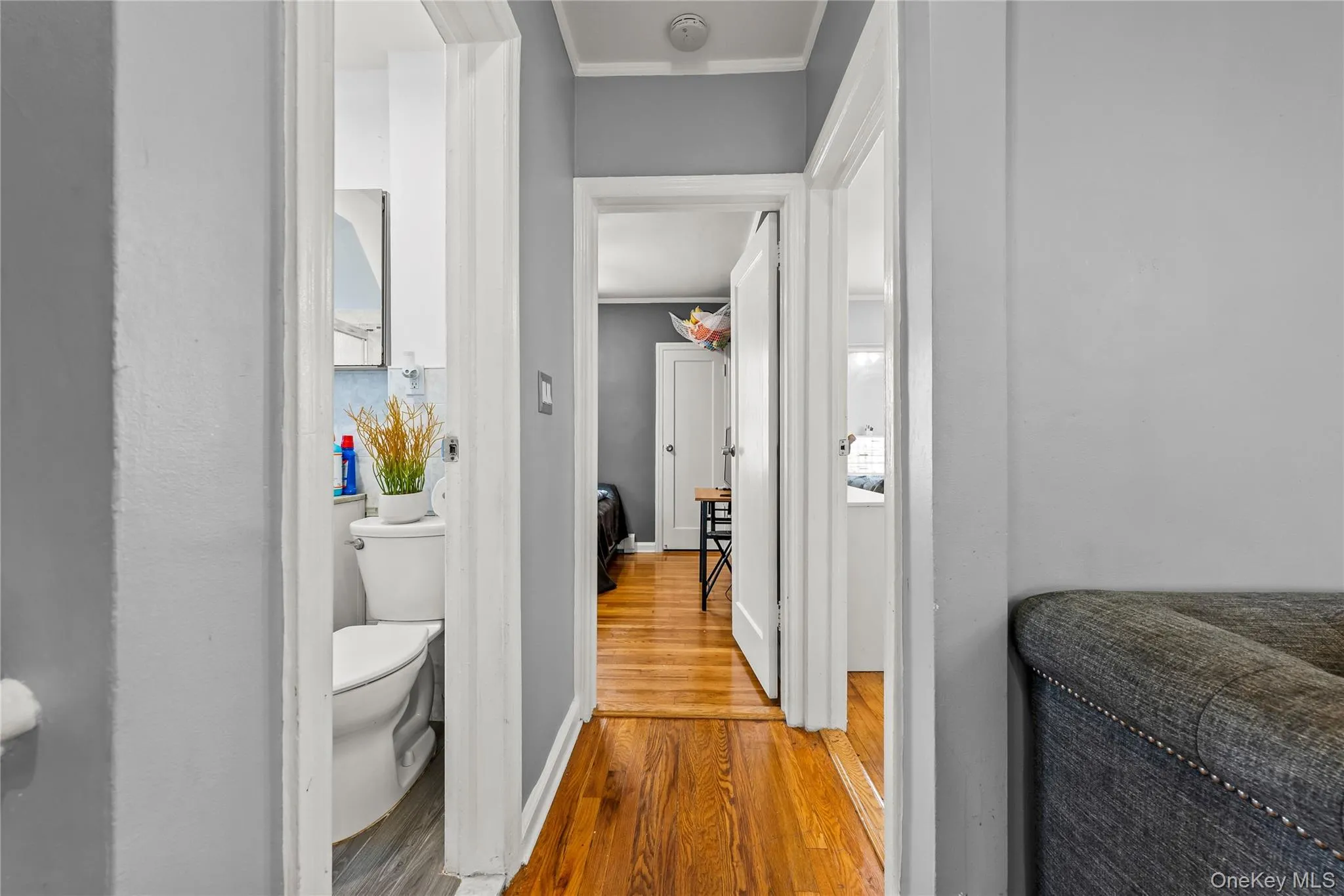 118 48 222ND Street, New York, NY, 4 Bedrooms Bedrooms, 7 Rooms Rooms,2 BathroomsBathrooms,Residential,For Rent,222ND,0,1020967 118 48 222ND Street, New York, NY, 4 Bedrooms Bedrooms, 7 Rooms Rooms,2 BathroomsBathrooms,Residential,For Rent,222ND,0,1020967