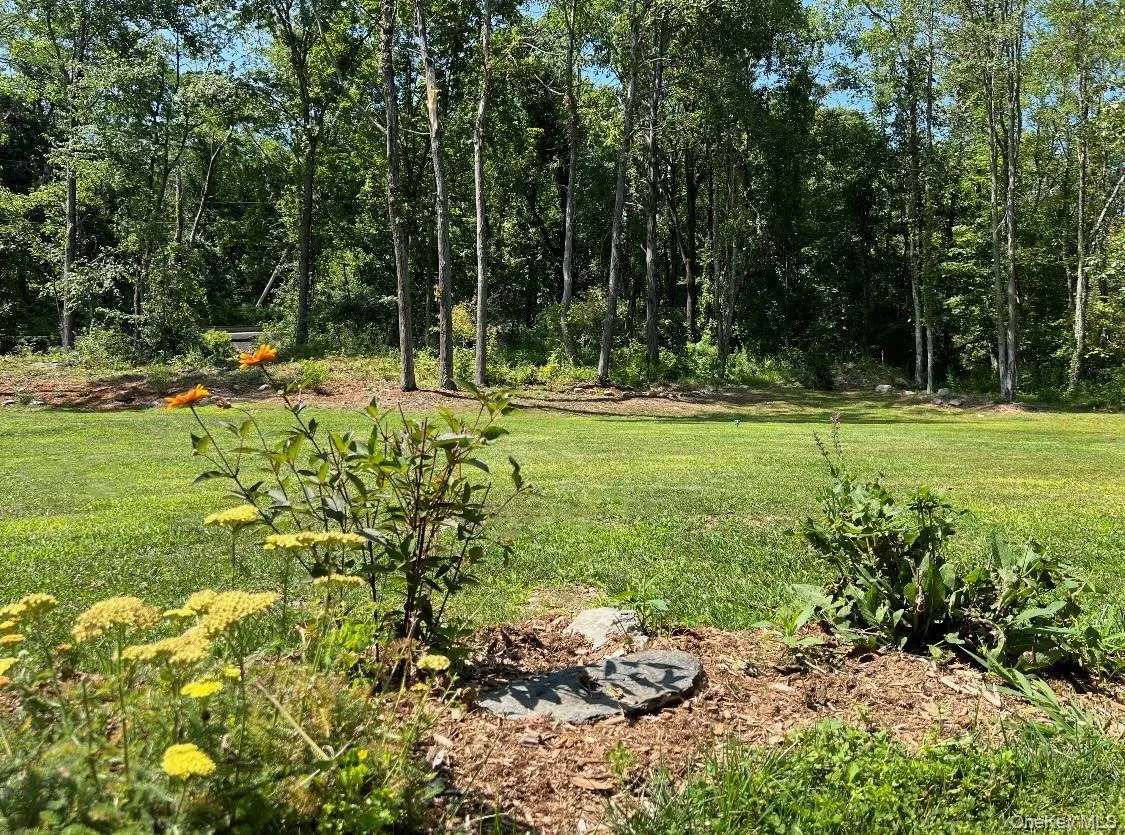 Expansive green lawn surrounded by mature deciduous trees and curated gardens Expansive green lawn surrounded by mature deciduous trees and curated gardens