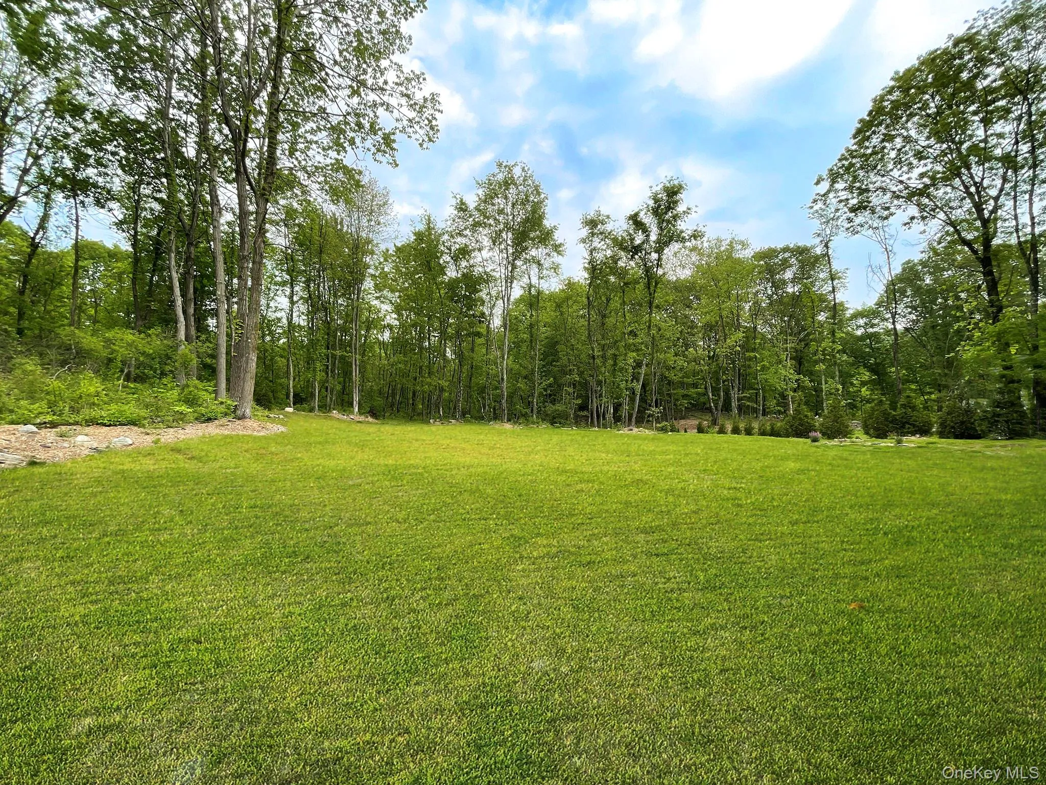 Expansive green lawn surrounded by mature trees Expansive green lawn surrounded by mature trees
