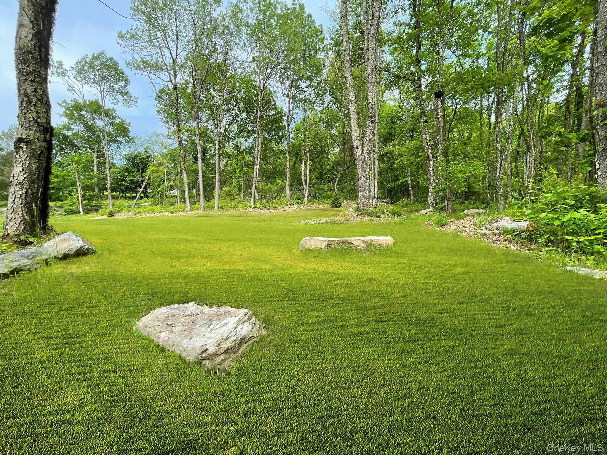 Expansive lawn area surrounded by mature trees, featuring natural rock formations and abundant greenery Expansive lawn area surrounded by mature trees, featuring natural rock formations and abundant greenery