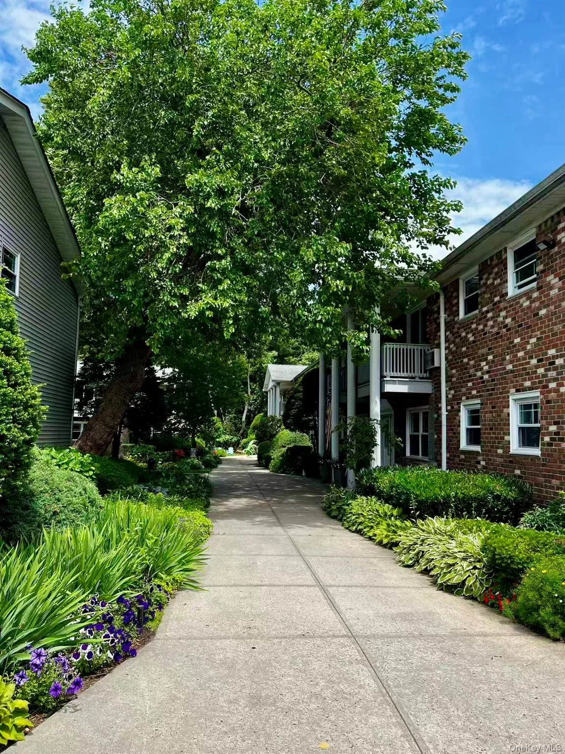 246 Fairharbor Drive, Brookhaven, NY, 1 Bedroom Bedrooms, 3 Rooms Rooms,1 BathroomBathrooms,Residential,For Rent,Fairharbor,0,1021006 246 Fairharbor Drive, Brookhaven, NY, 1 Bedroom Bedrooms, 3 Rooms Rooms,1 BathroomBathrooms,Residential,For Rent,Fairharbor,0,1021006