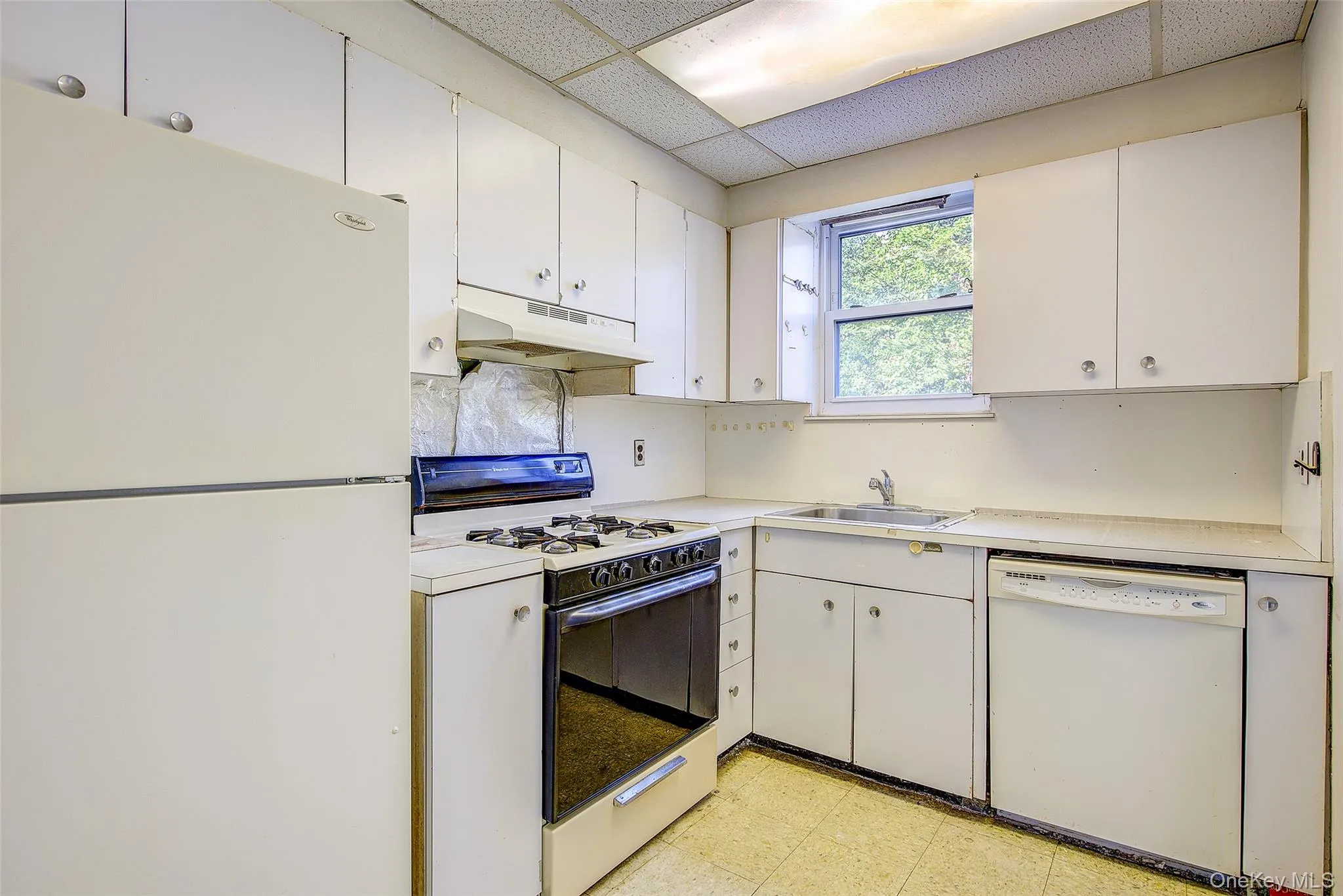 53-21 194th Street, New York, NY, 3 Bedrooms Bedrooms, 6 Rooms Rooms,1 BathroomBathrooms,Residential,For Rent,194th,0,1021035 53-21 194th Street, New York, NY, 3 Bedrooms Bedrooms, 6 Rooms Rooms,1 BathroomBathrooms,Residential,For Rent,194th,0,1021035