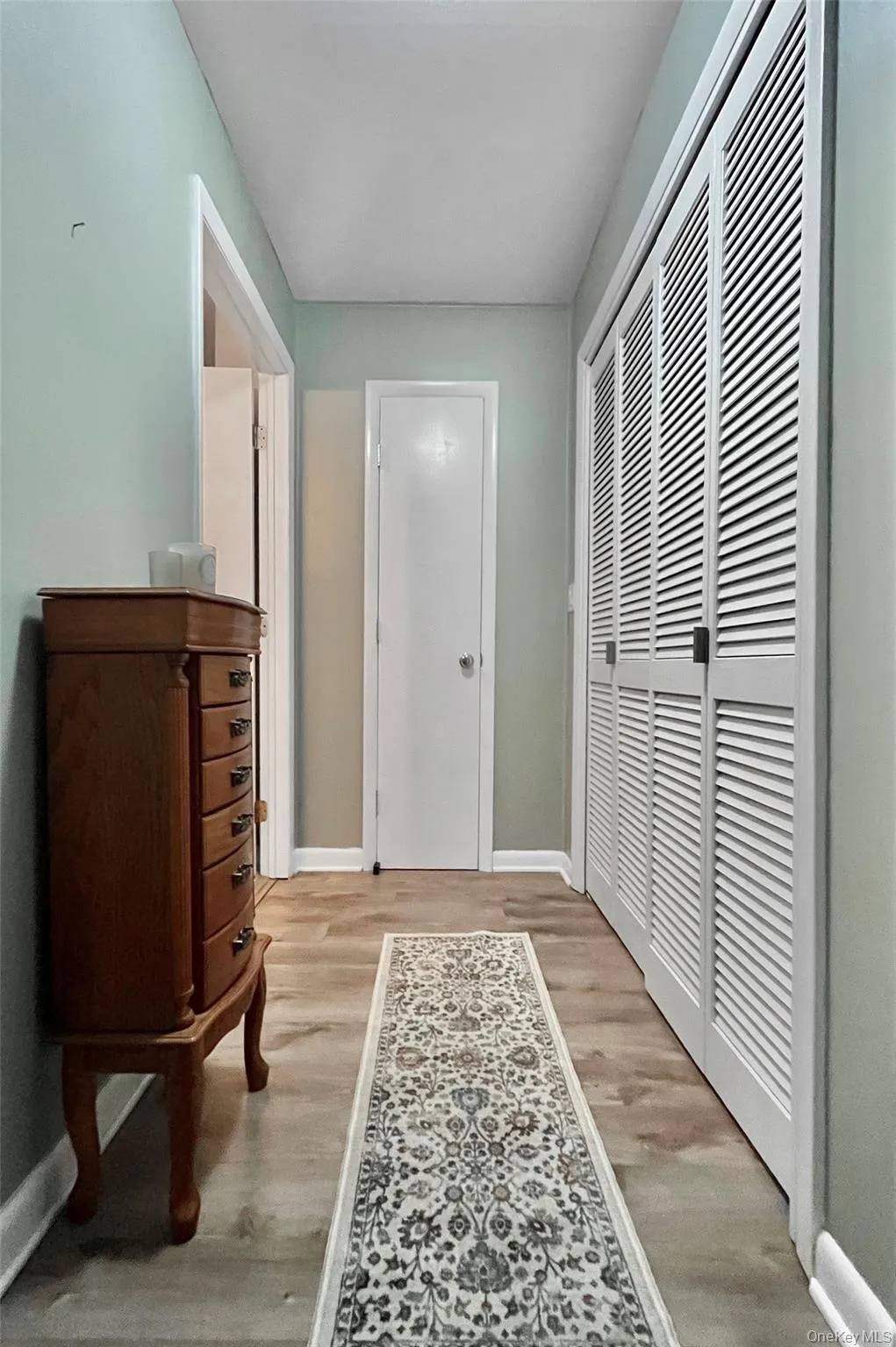 Additional Primary Closet Storage Additional Primary Closet Storage