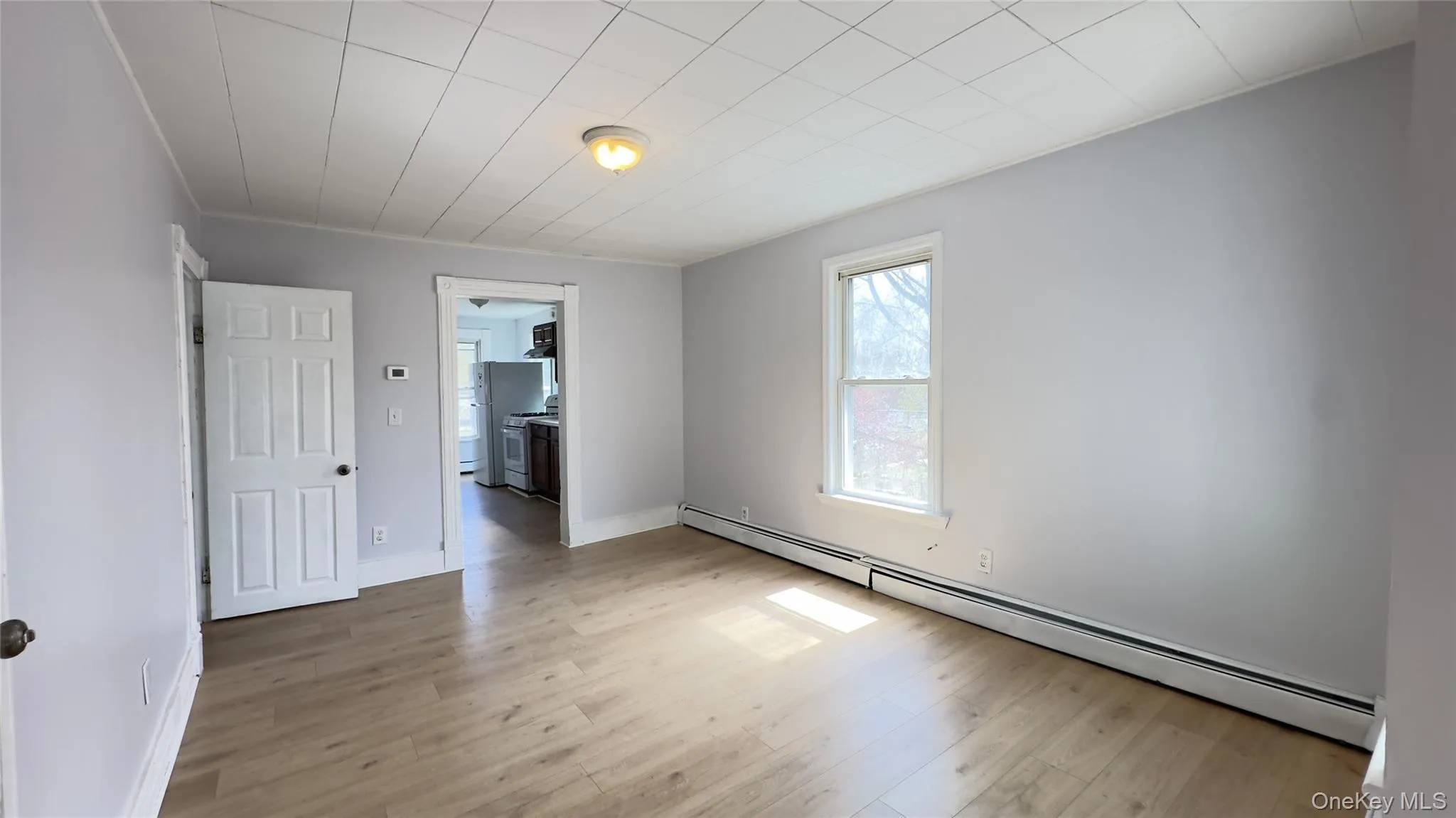 Spacious living room, wood like flooring, lighting, baseboard heating Spacious living room, wood like flooring, lighting, baseboard heating