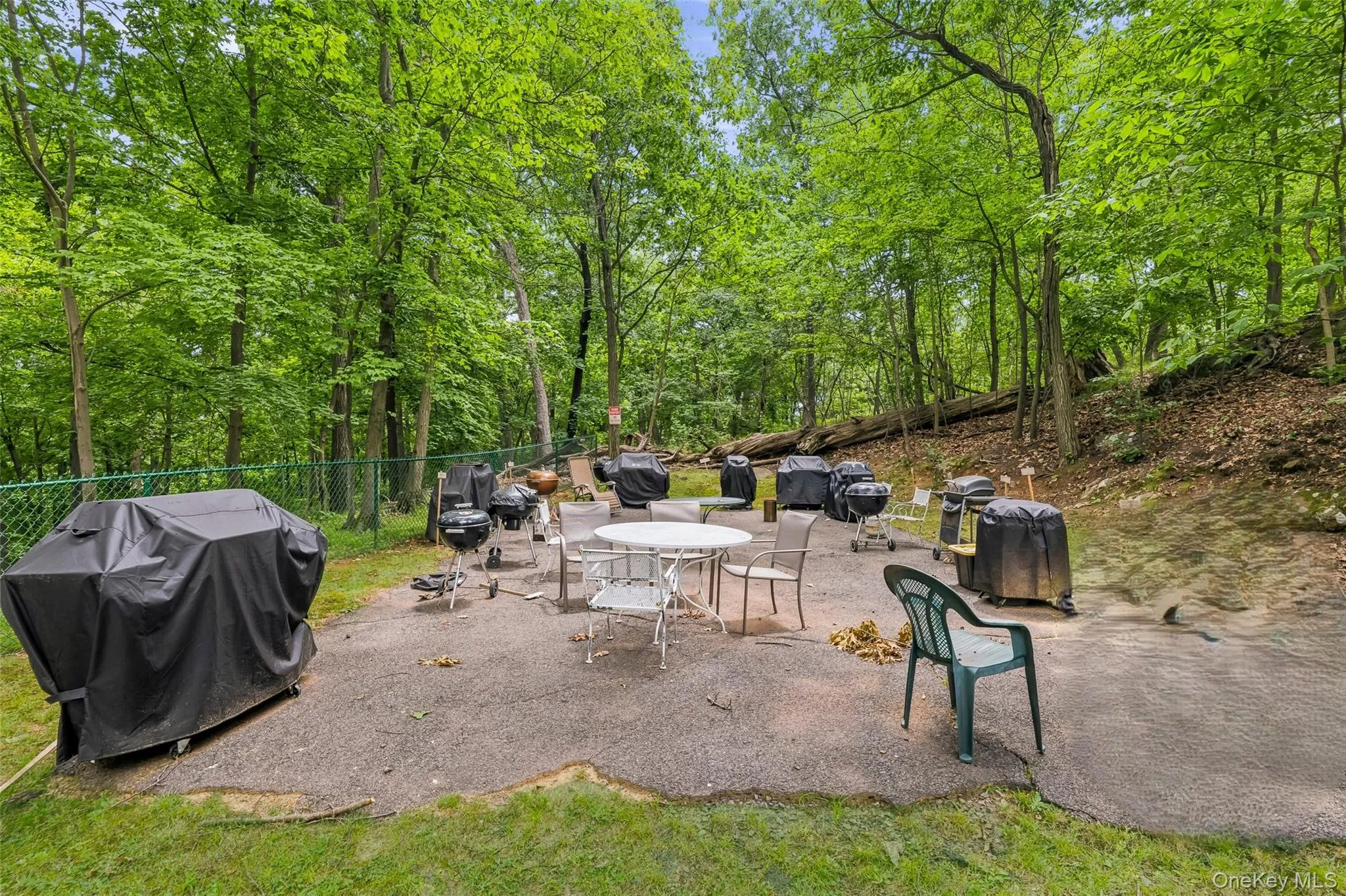 104 Pinewood Rd, Greenburgh, NY, 1 Bedroom Bedrooms, 4 Rooms Rooms,1 BathroomBathrooms,Residential,For Rent,Pinewood Rd,0,1021119 104 Pinewood Rd, Greenburgh, NY, 1 Bedroom Bedrooms, 4 Rooms Rooms,1 BathroomBathrooms,Residential,For Rent,Pinewood Rd,0,1021119