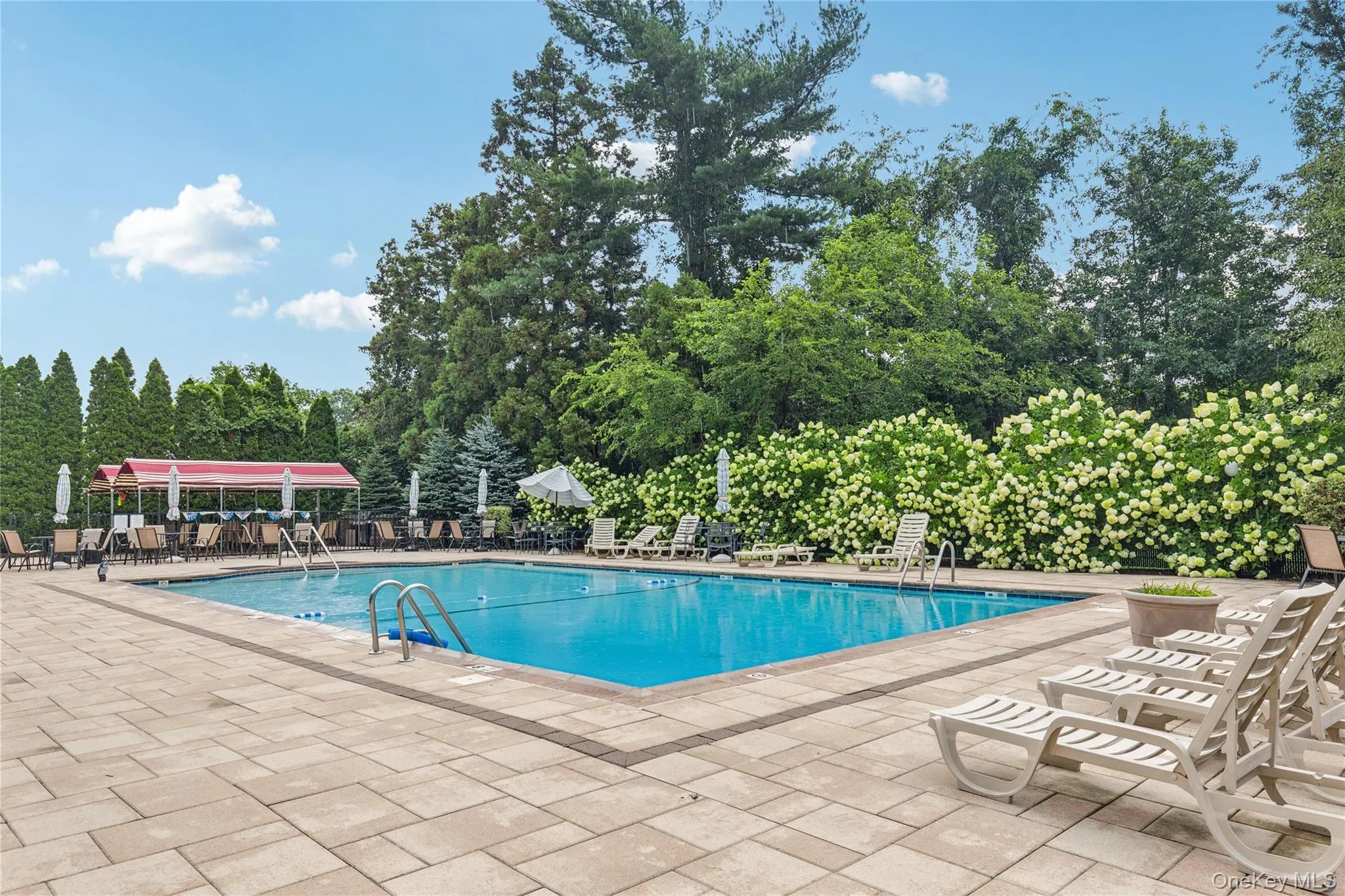 15 Forge Lane, Brookhaven, NY, 1 Bedroom Bedrooms, 4 Rooms Rooms,1 BathroomBathrooms,Residential,For Rent,Forge,0,1021143 15 Forge Lane, Brookhaven, NY, 1 Bedroom Bedrooms, 4 Rooms Rooms,1 BathroomBathrooms,Residential,For Rent,Forge,0,1021143